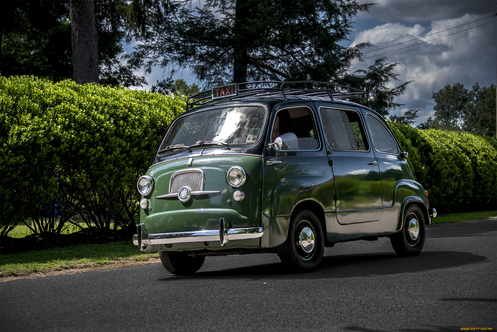 fiat, multipla, автомобили, fiat, автошоу, выставка, автопробег