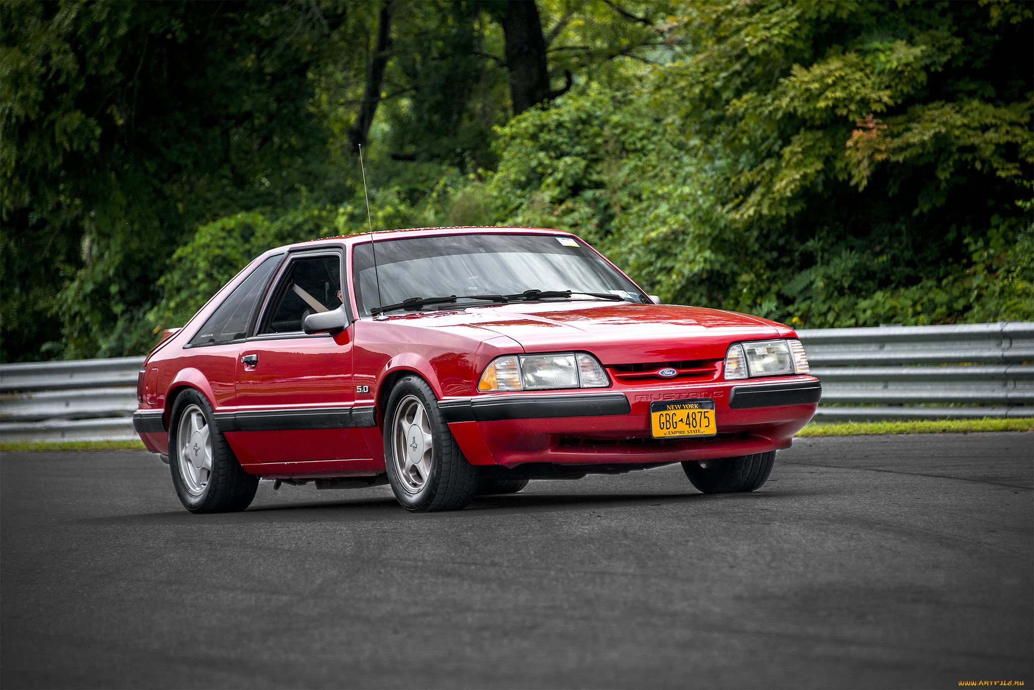 ford, mustang, автомобили, mustang, автопробег, выставка, автошоу