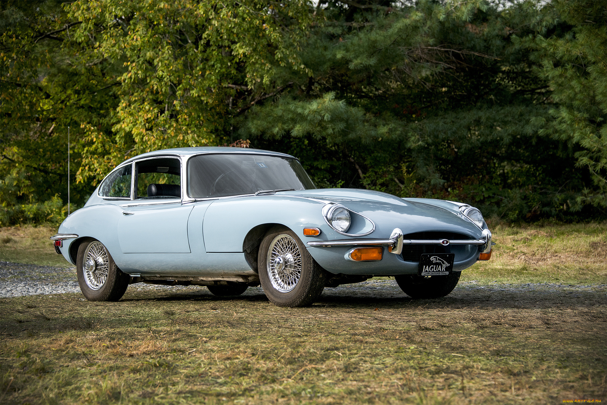 jaguar, e-type, автомобили, jaguar, автопробег, выставка, автошоу