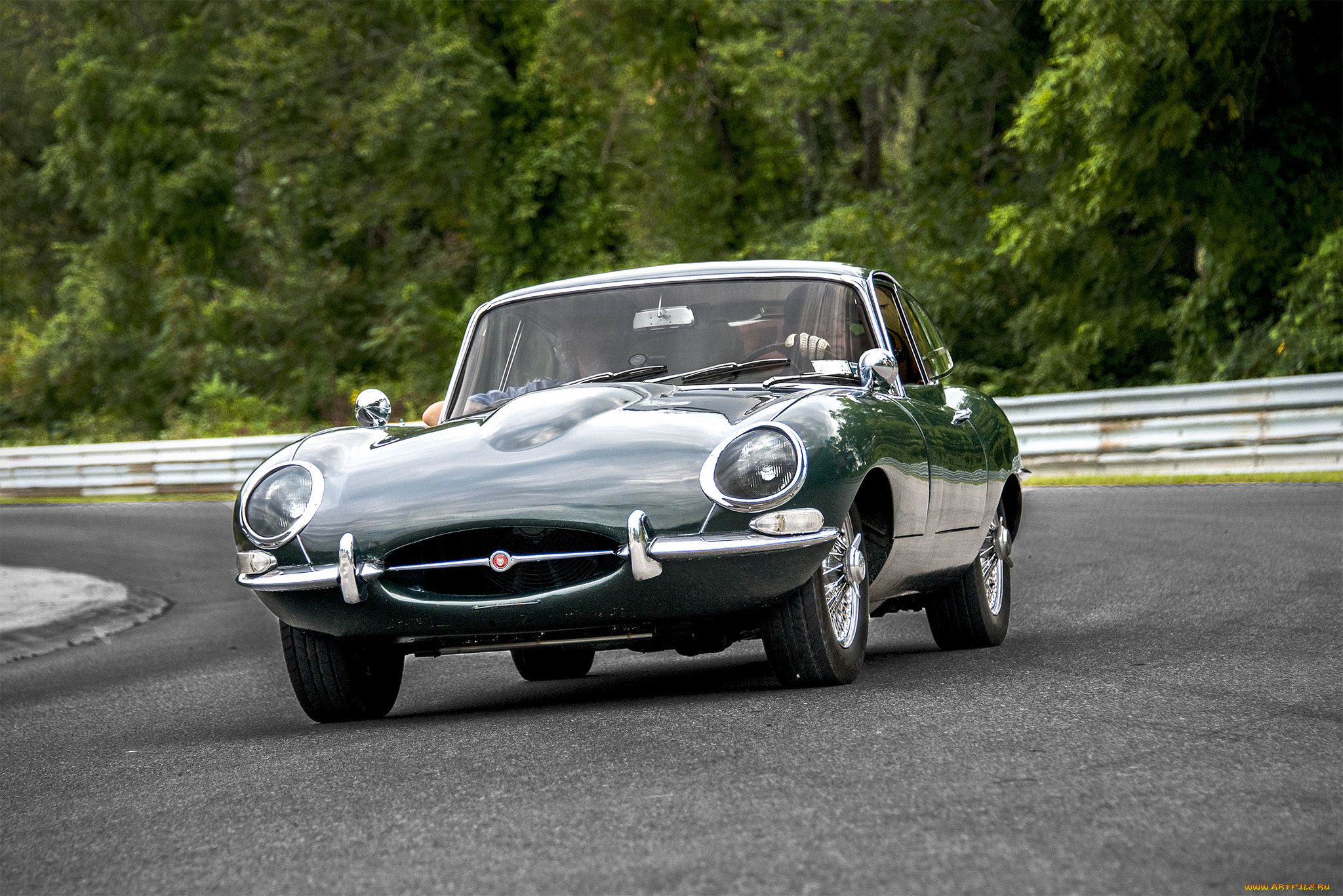 jaguar, e-type, автомобили, jaguar, автопробег, выставка, автошоу