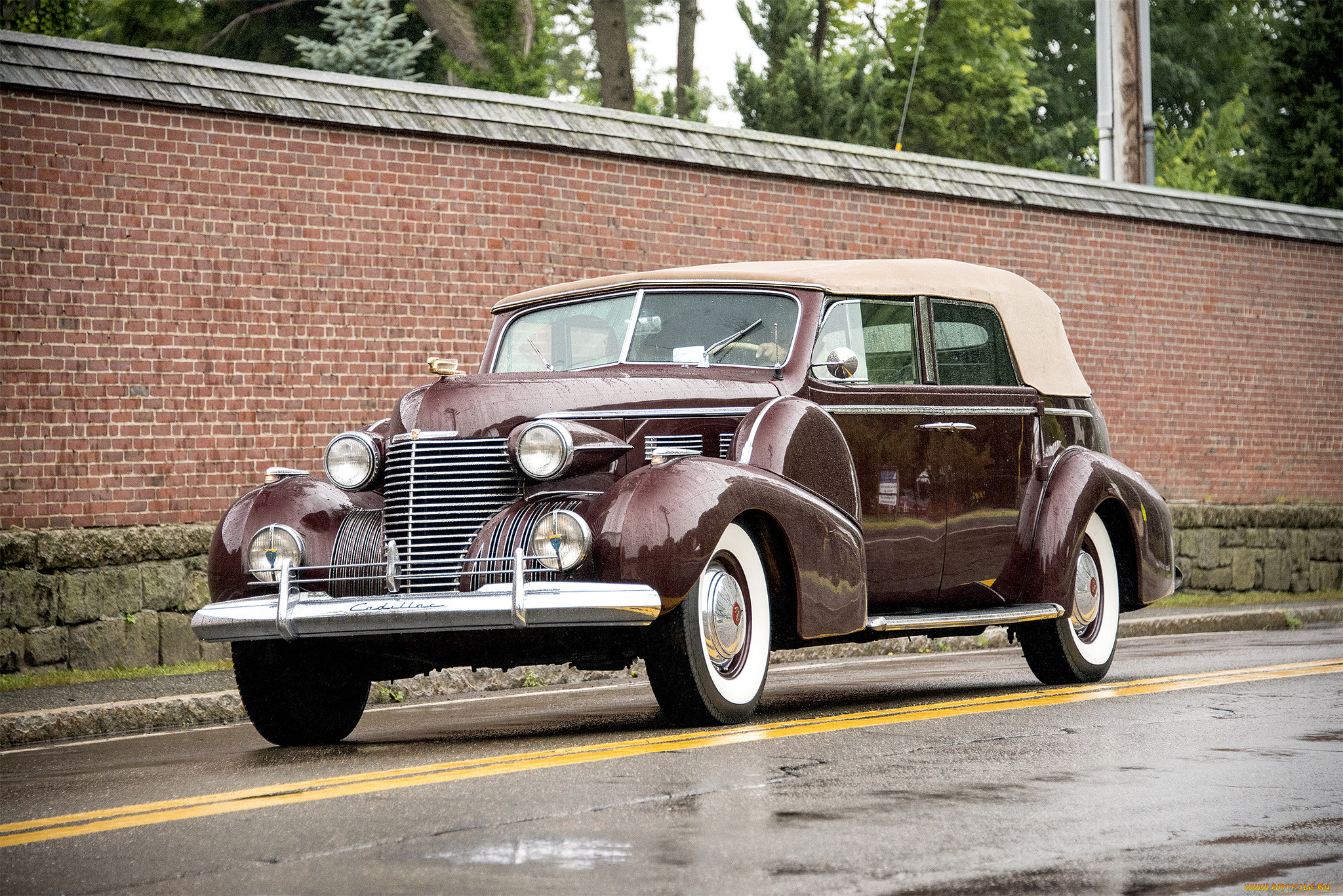 lasalle, автомобили, классика, автопробег, выставка, автошоу