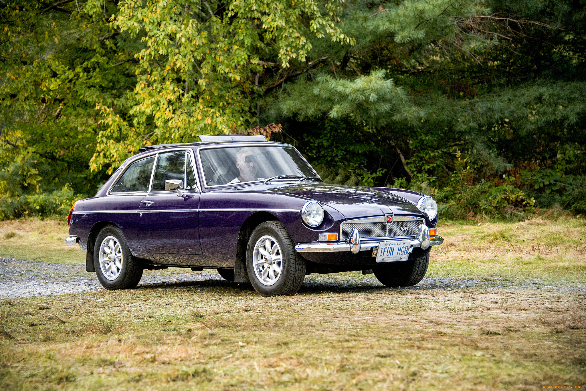 mg, bgt, v8, автомобили, mg, автопробег, выставка, автошоу