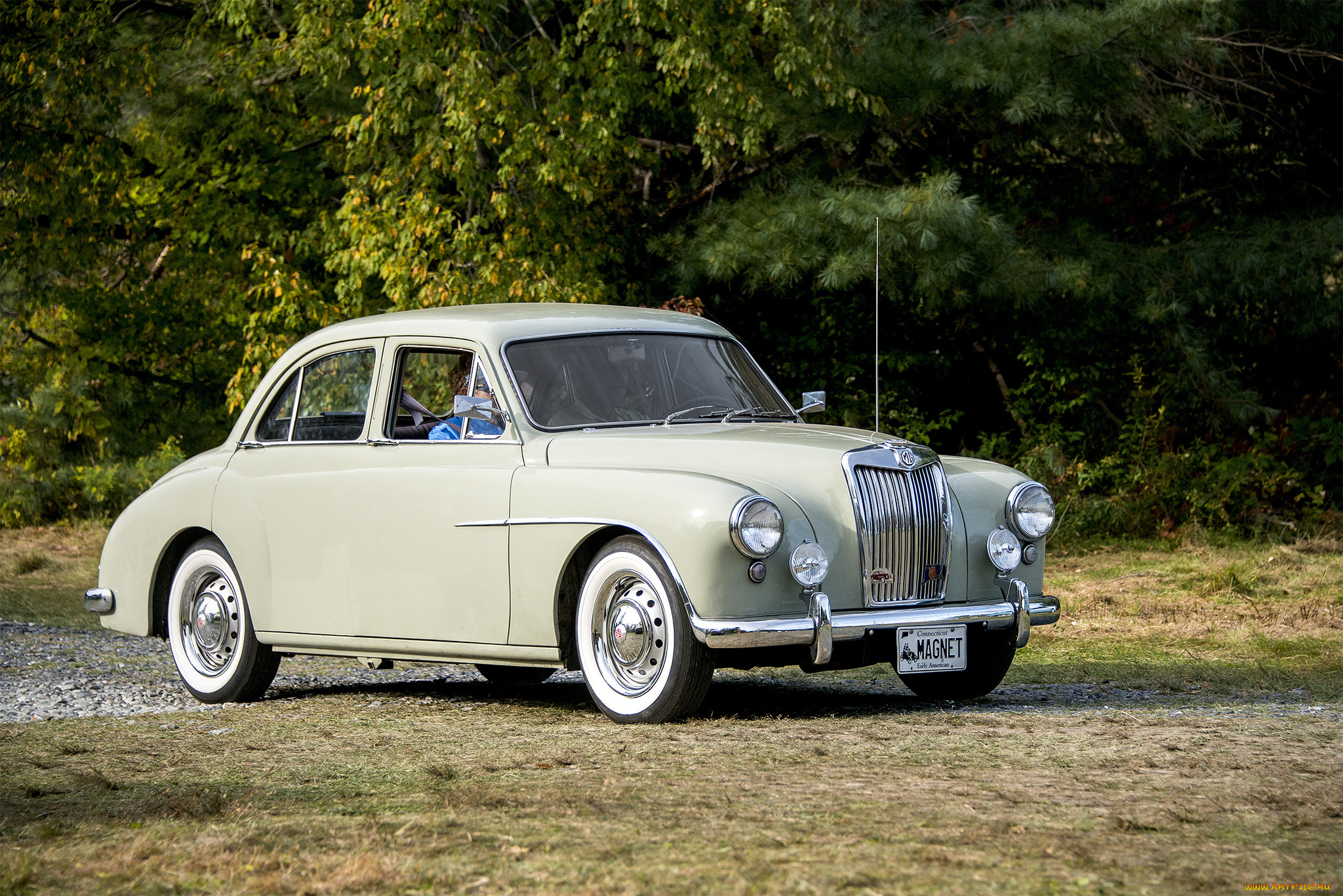 mg, magnette, автомобили, mg, выставка, автошоу, автопробег