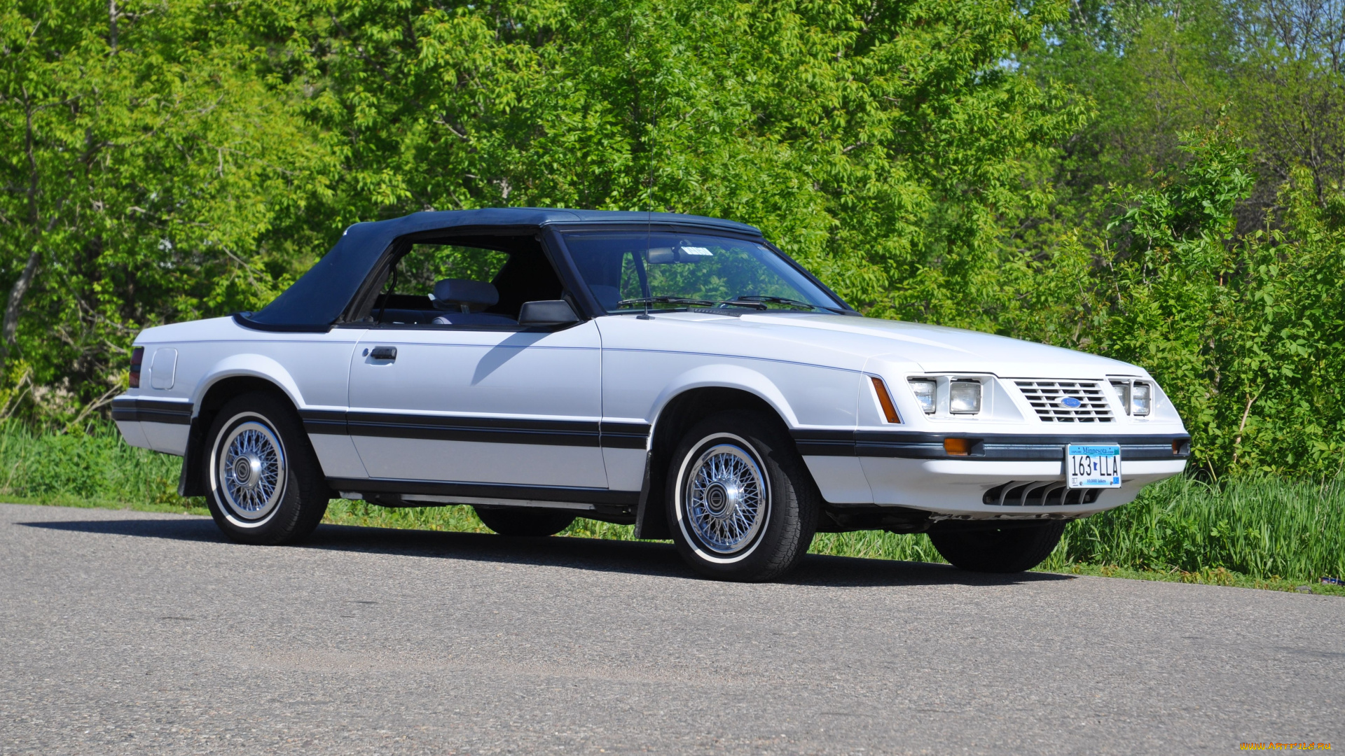 автомобили, mustang