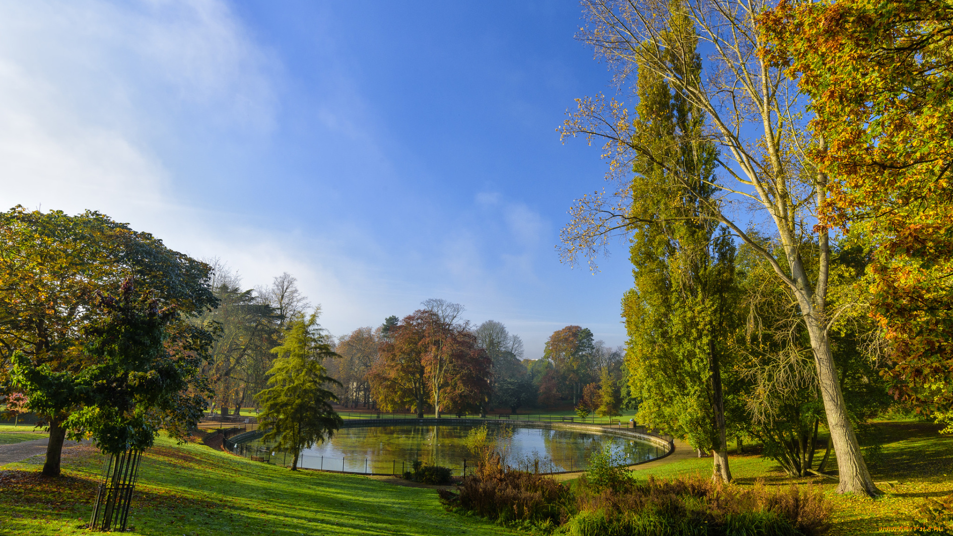 природа, парк, пруд