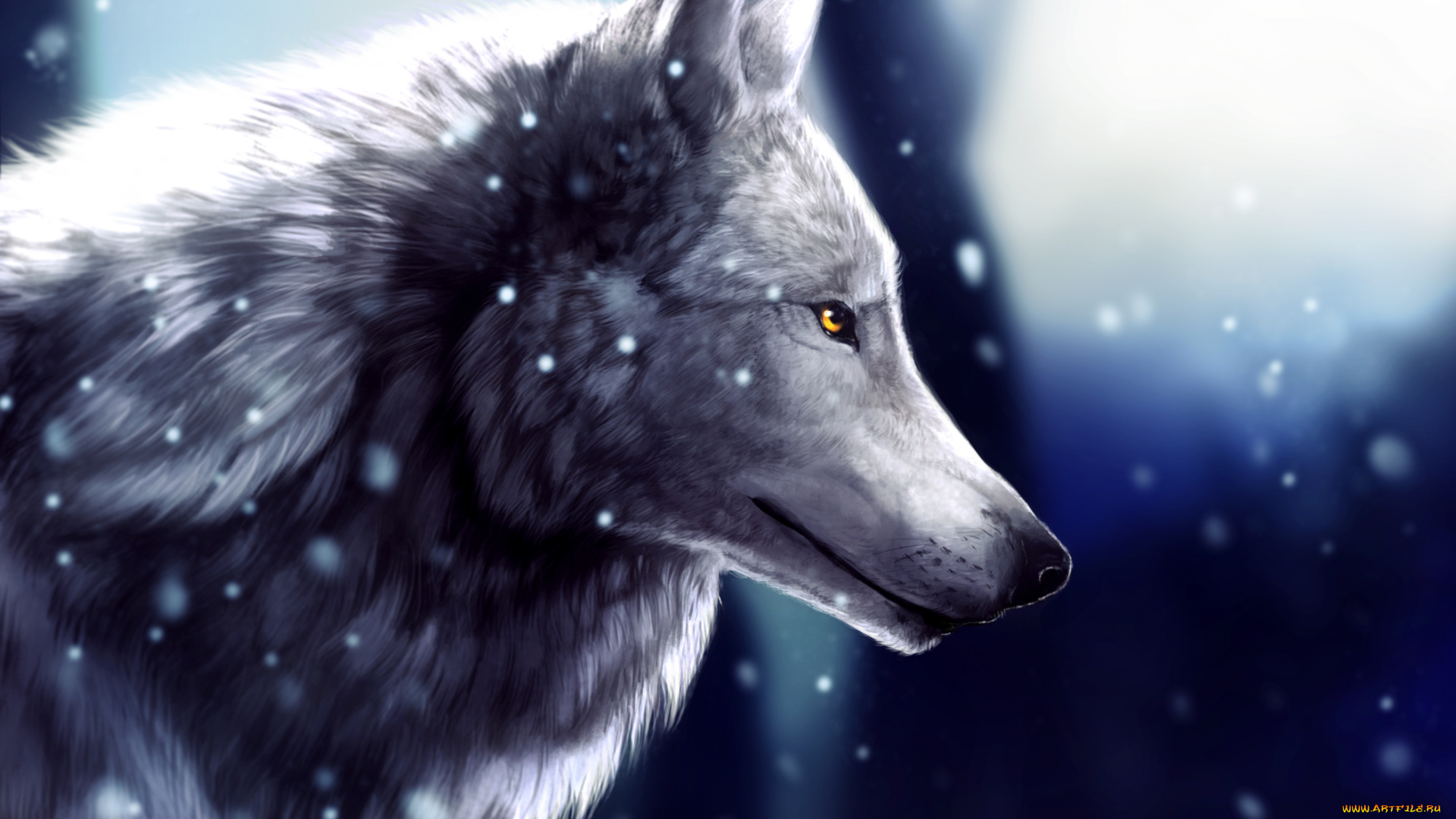 рисованное, животные, , волки, фон, взгляд, волк