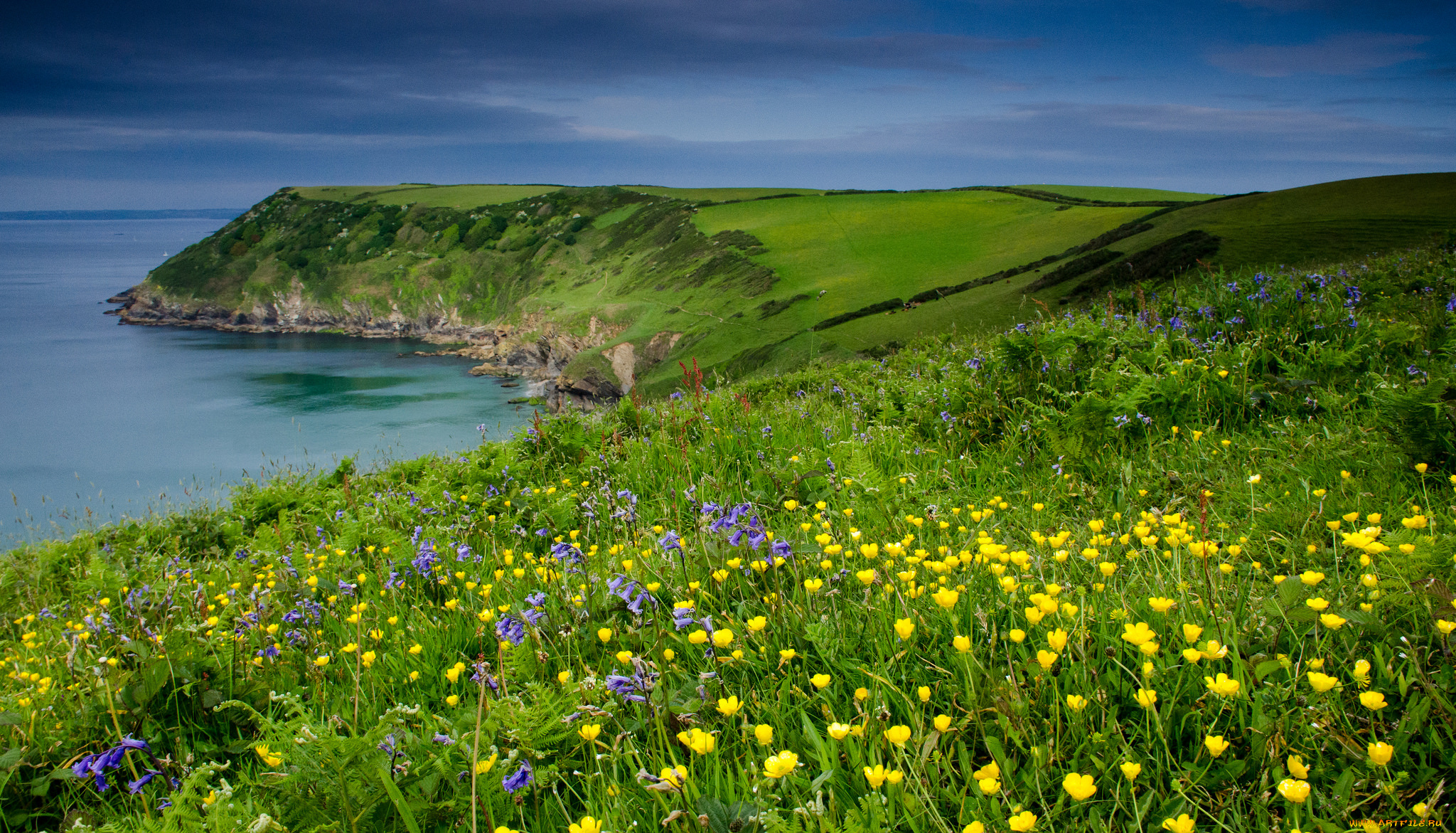 природа, побережье, море, берег