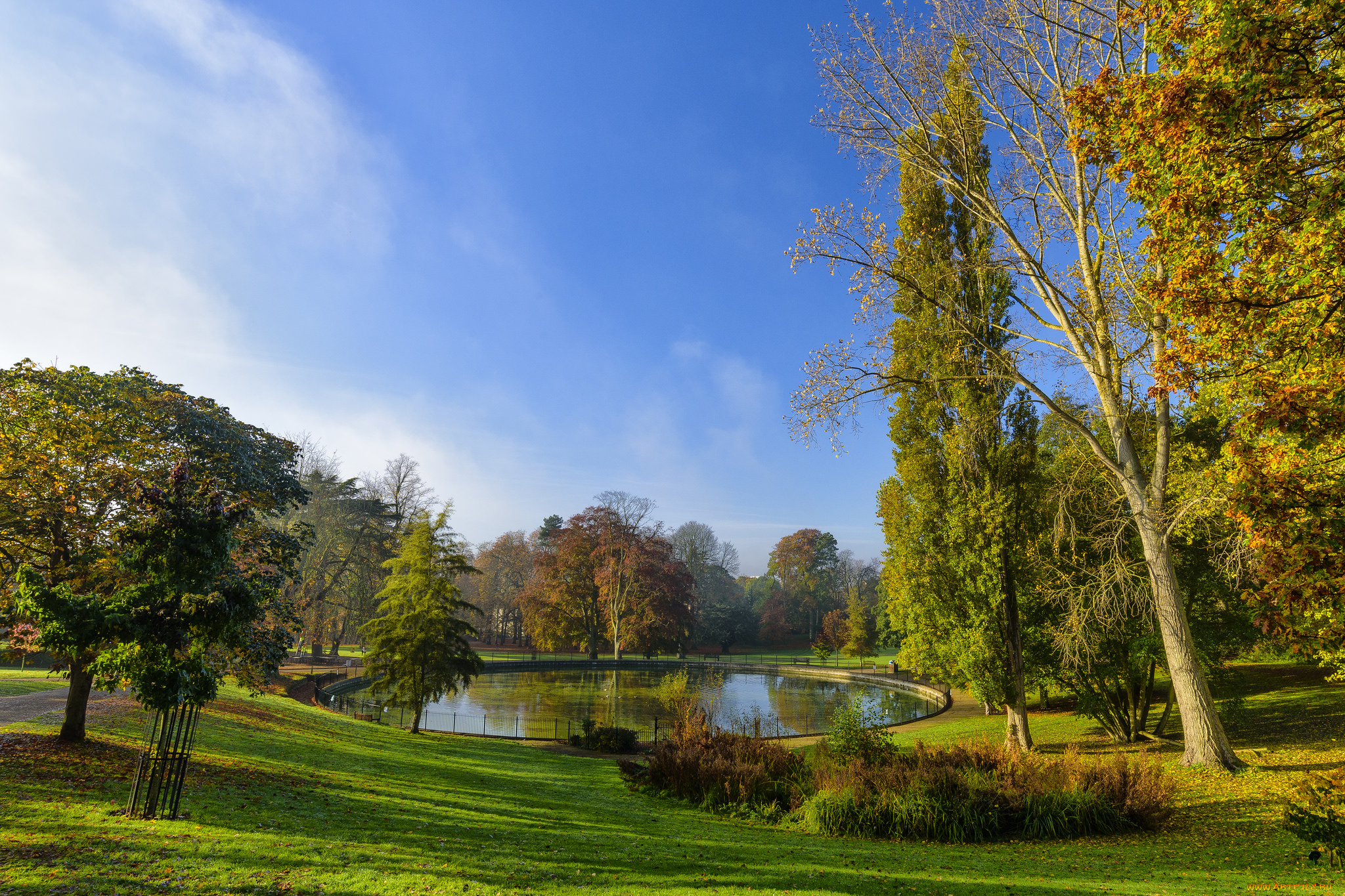 природа, парк, пруд