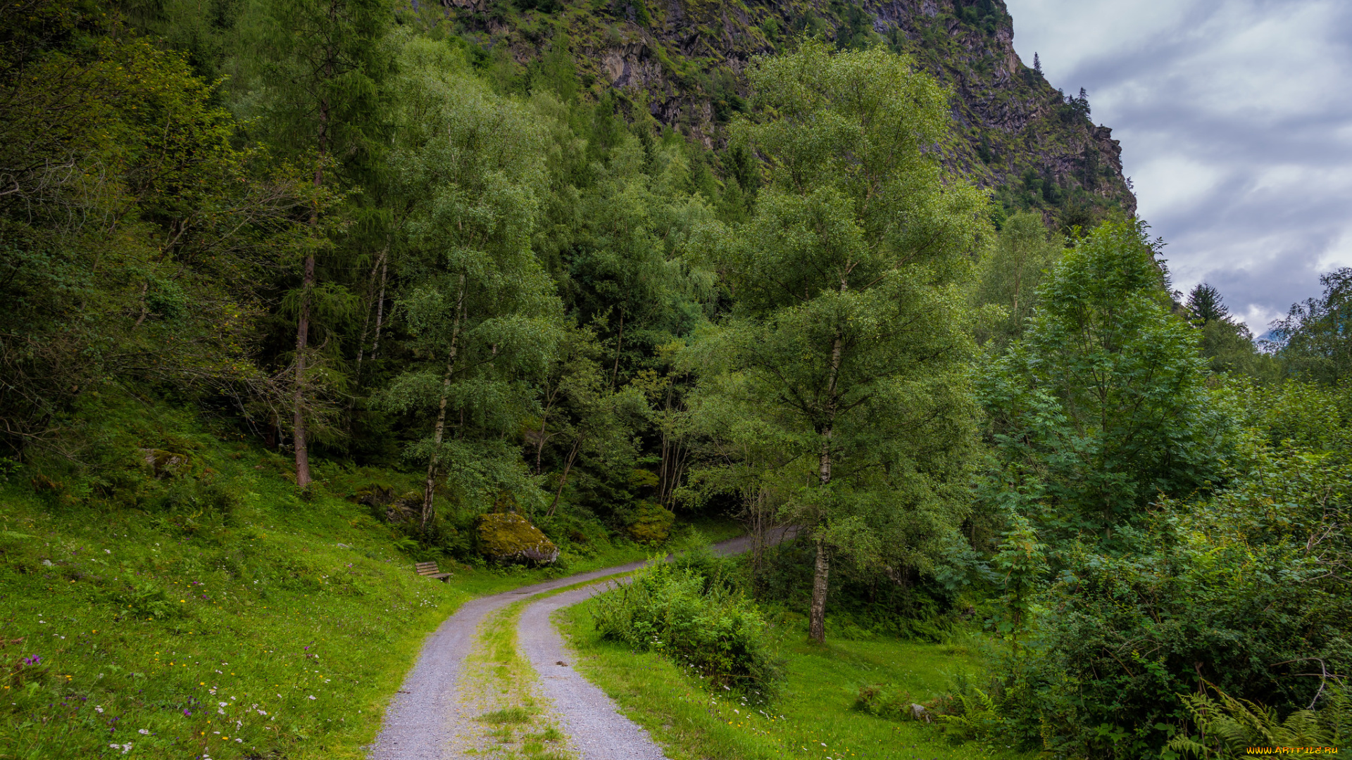 природа, дороги, простор