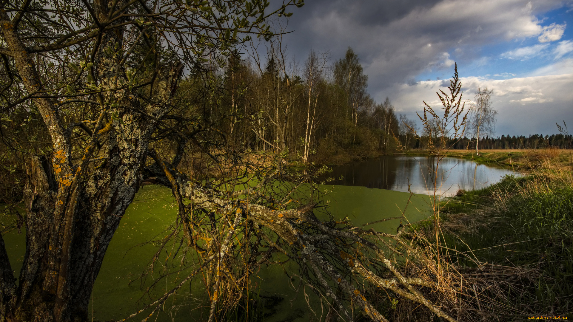 природа, пейзажи, простор