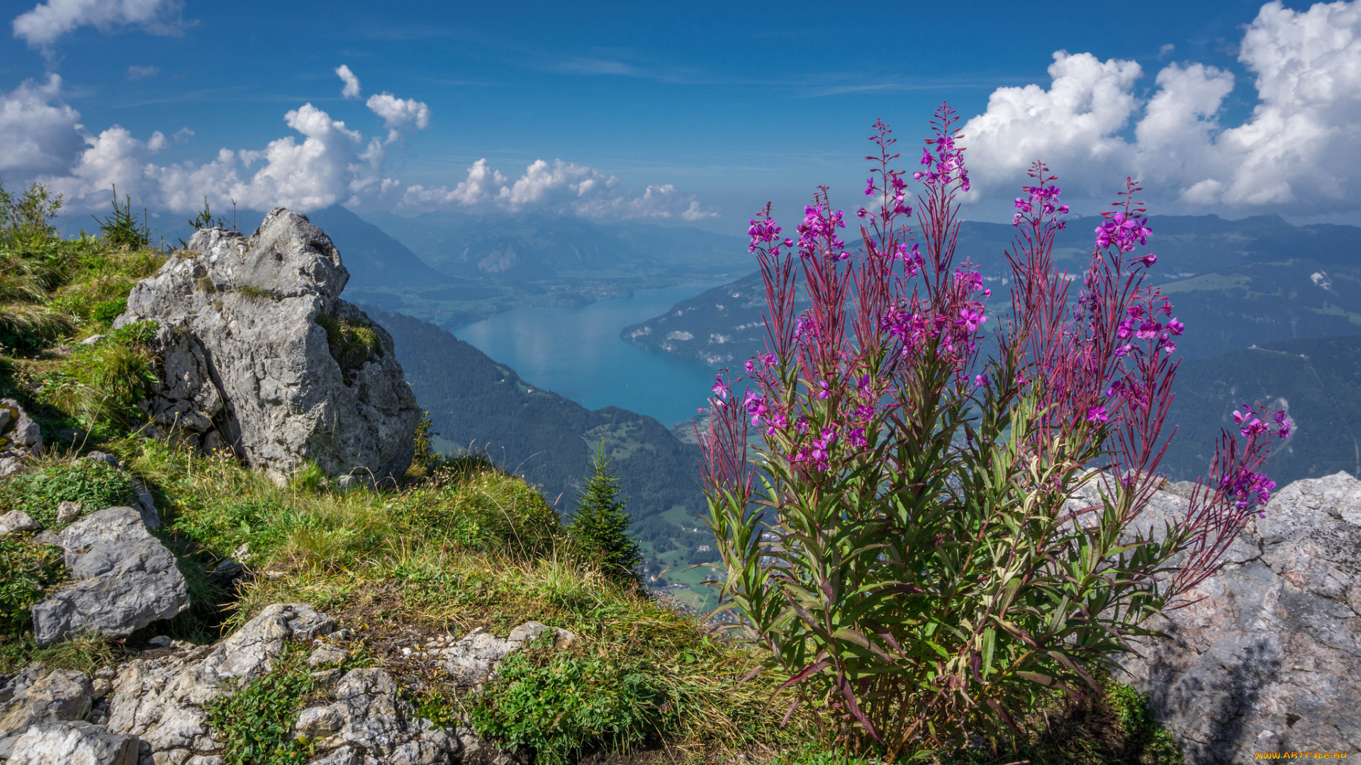 природа, пейзажи, простор