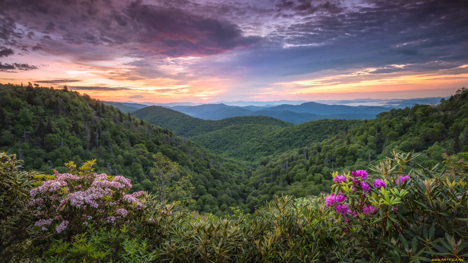 природа, пейзажи, простор