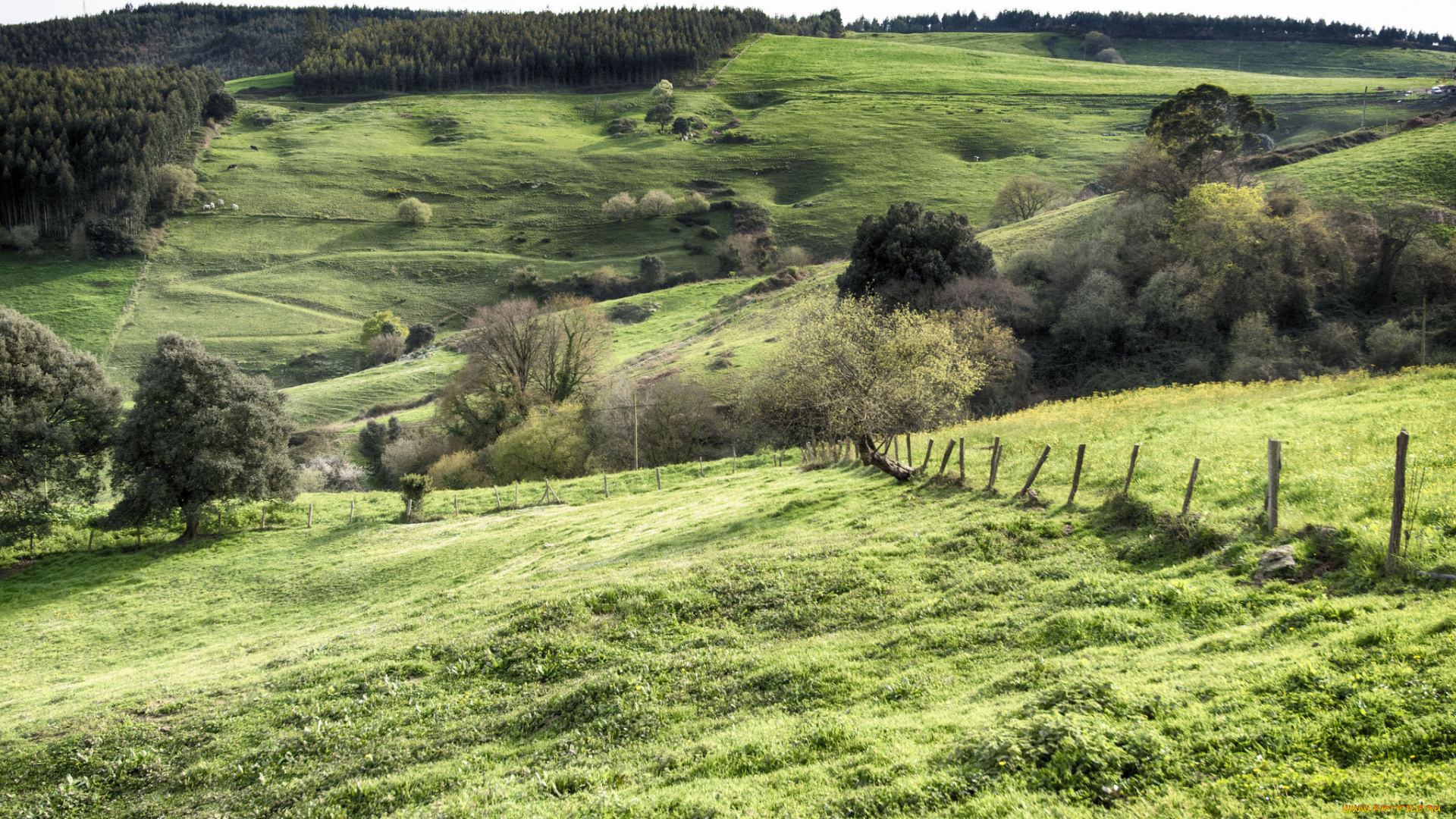 природа, пейзажи, простор