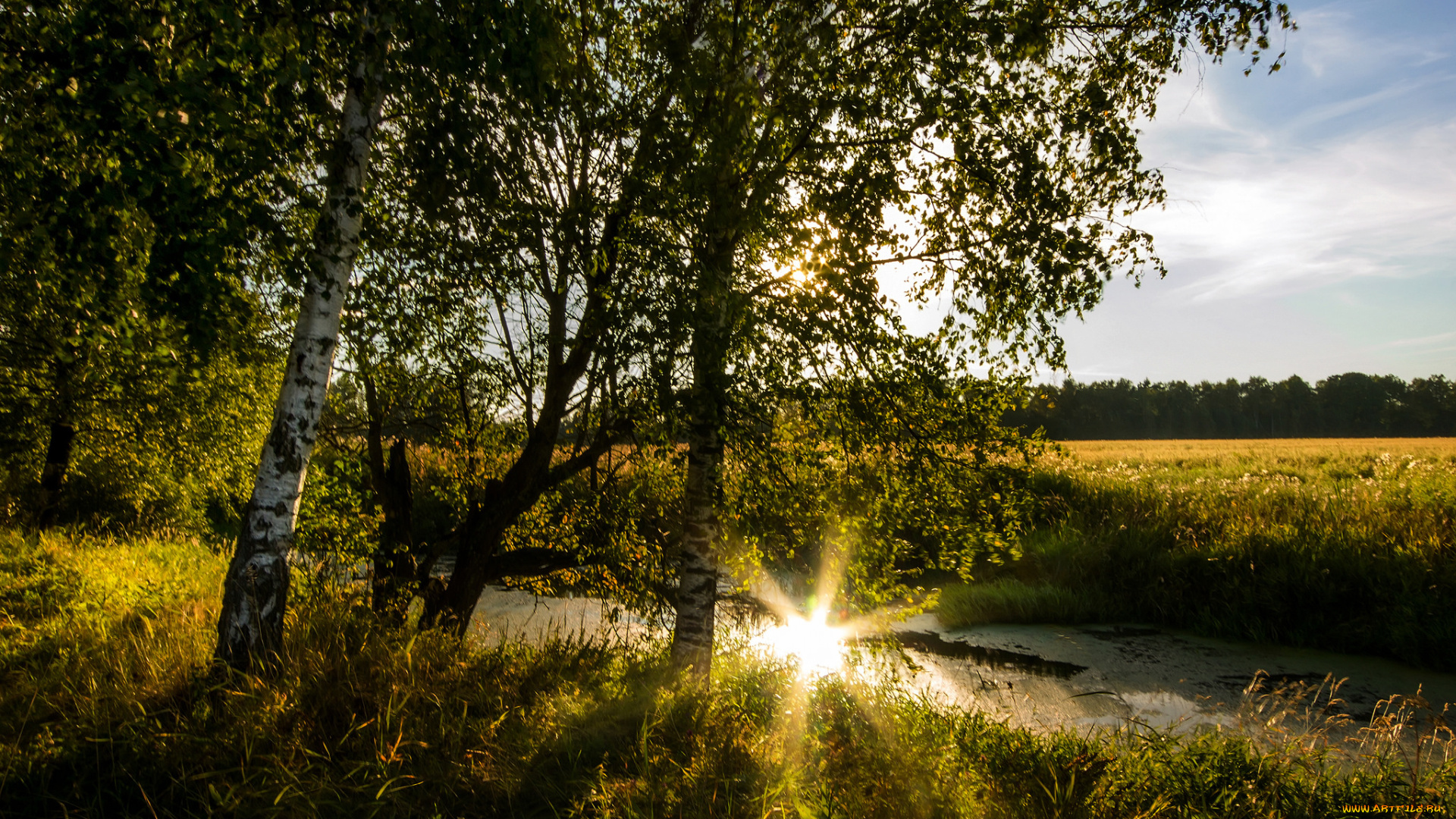 природа, реки, озера, простор