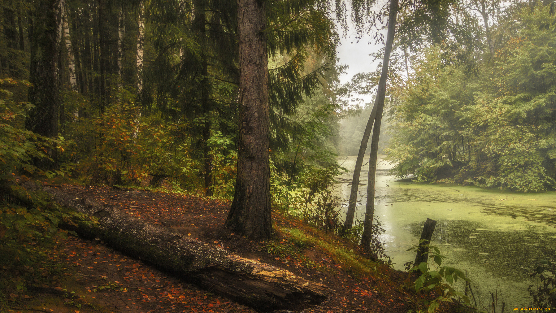 природа, реки, озера, простор