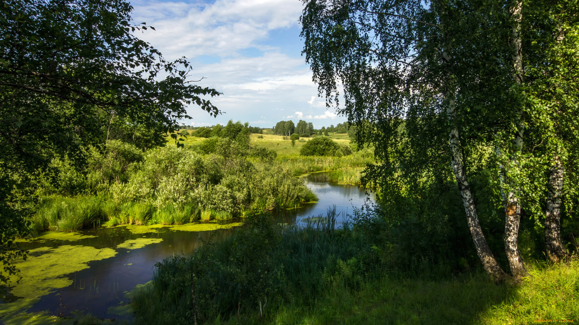 природа, реки, озера, простор