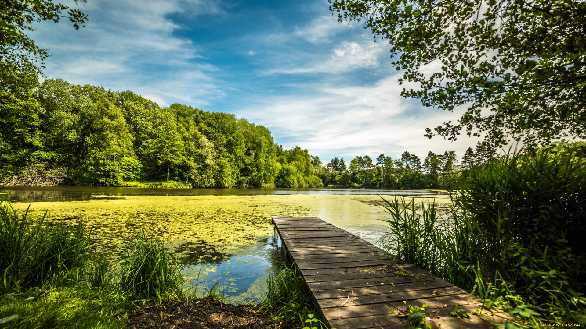 природа, реки, озера, простор