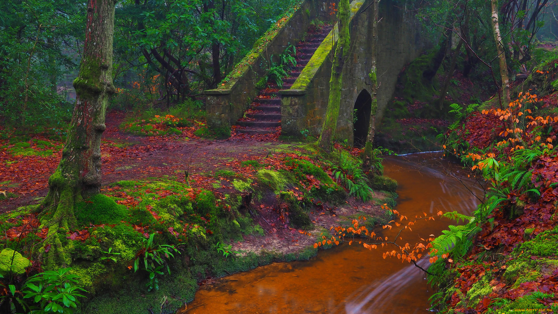 природа, реки, озера, речка, деревья, парк, осень, лес