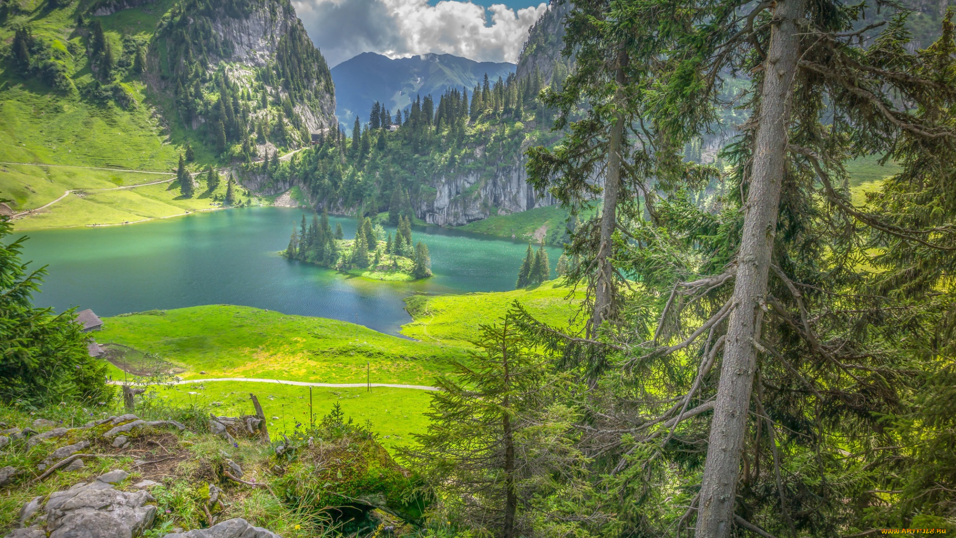 природа, реки, озера, река, лес