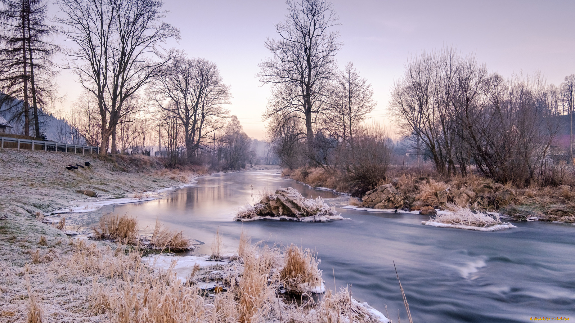 природа, реки, озера, река, лес