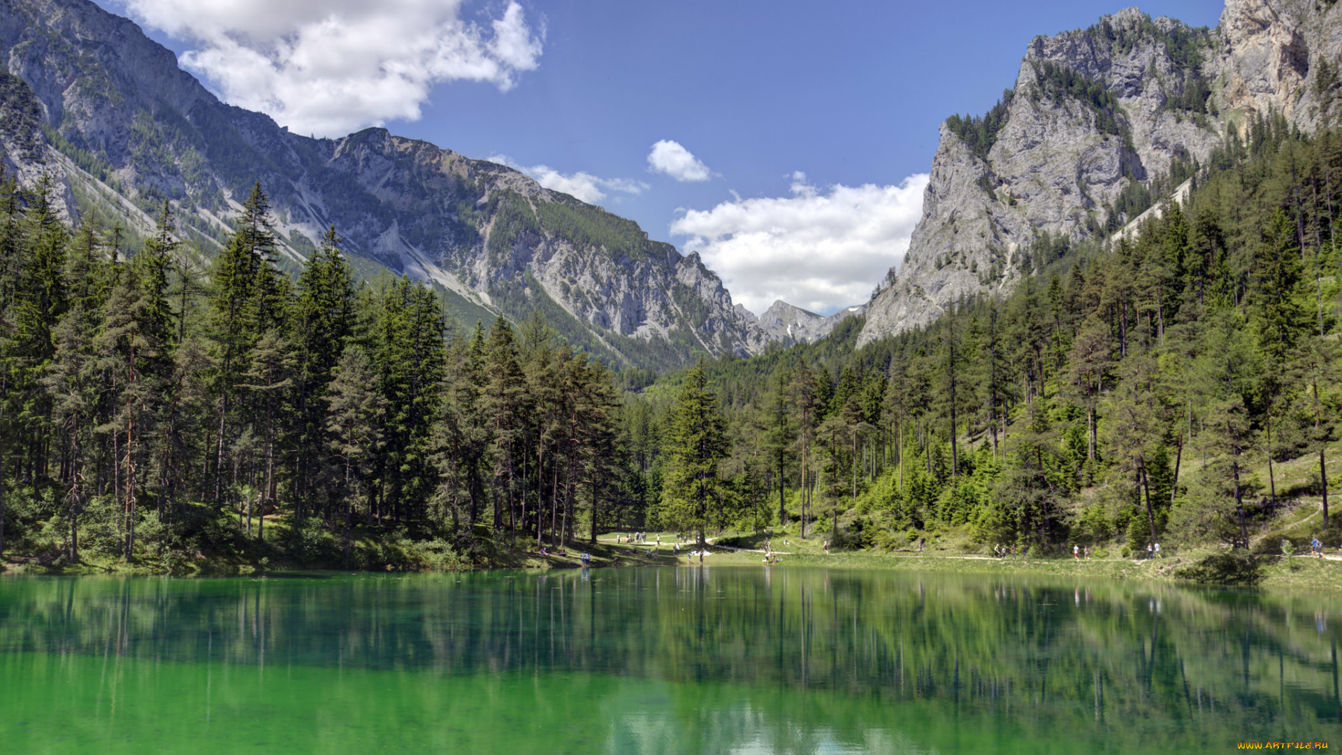 природа, реки, озера, река, лес