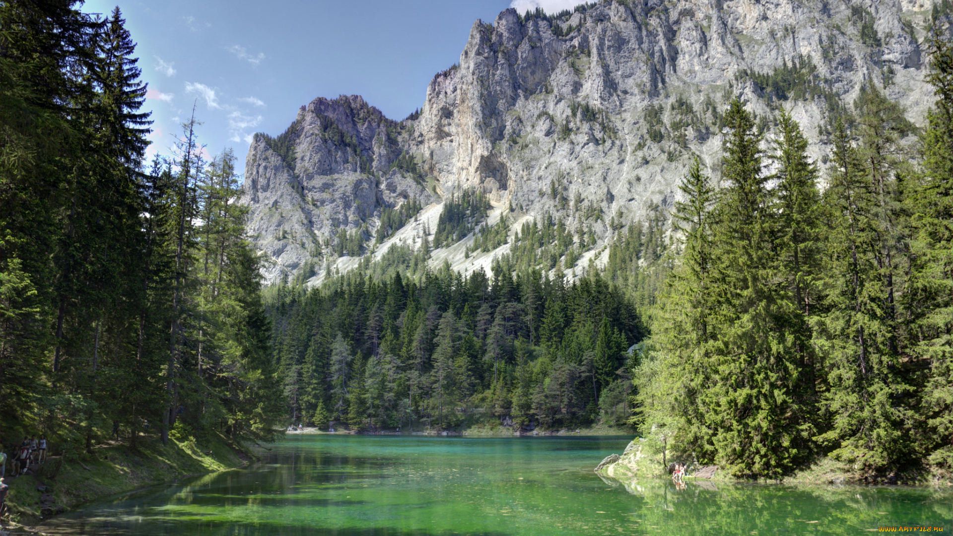 природа, реки, озера, река, лес