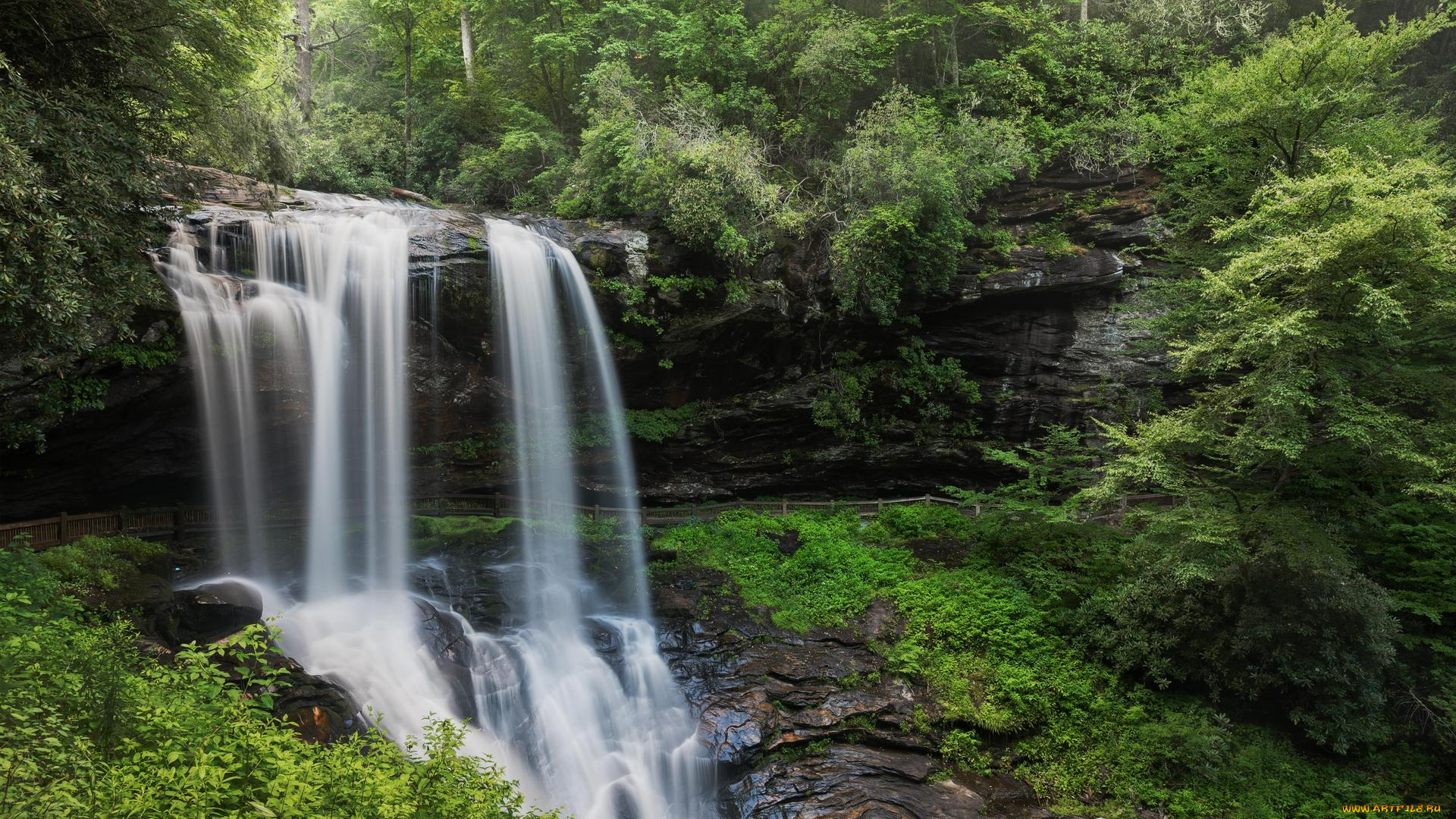 природа, водопады, лес, скала, поток