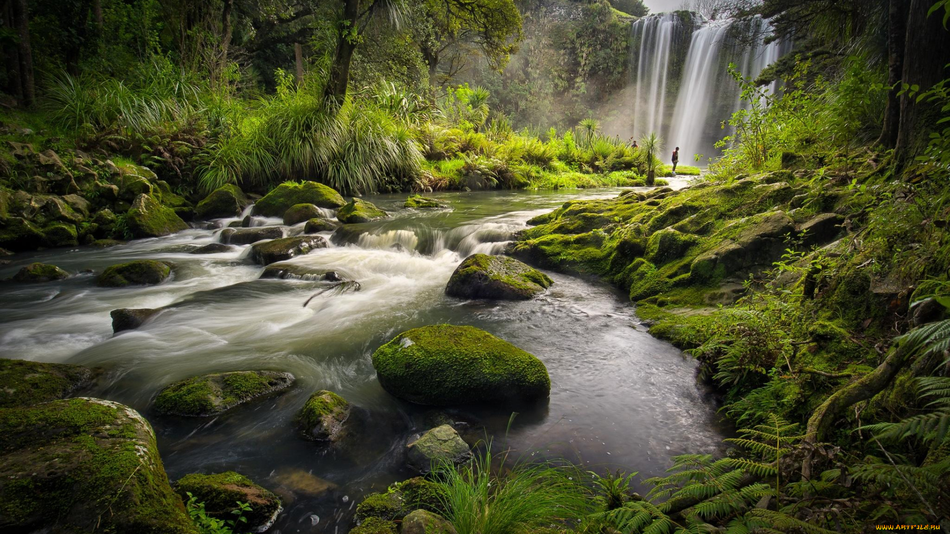 природа, водопады, лес, скала, поток