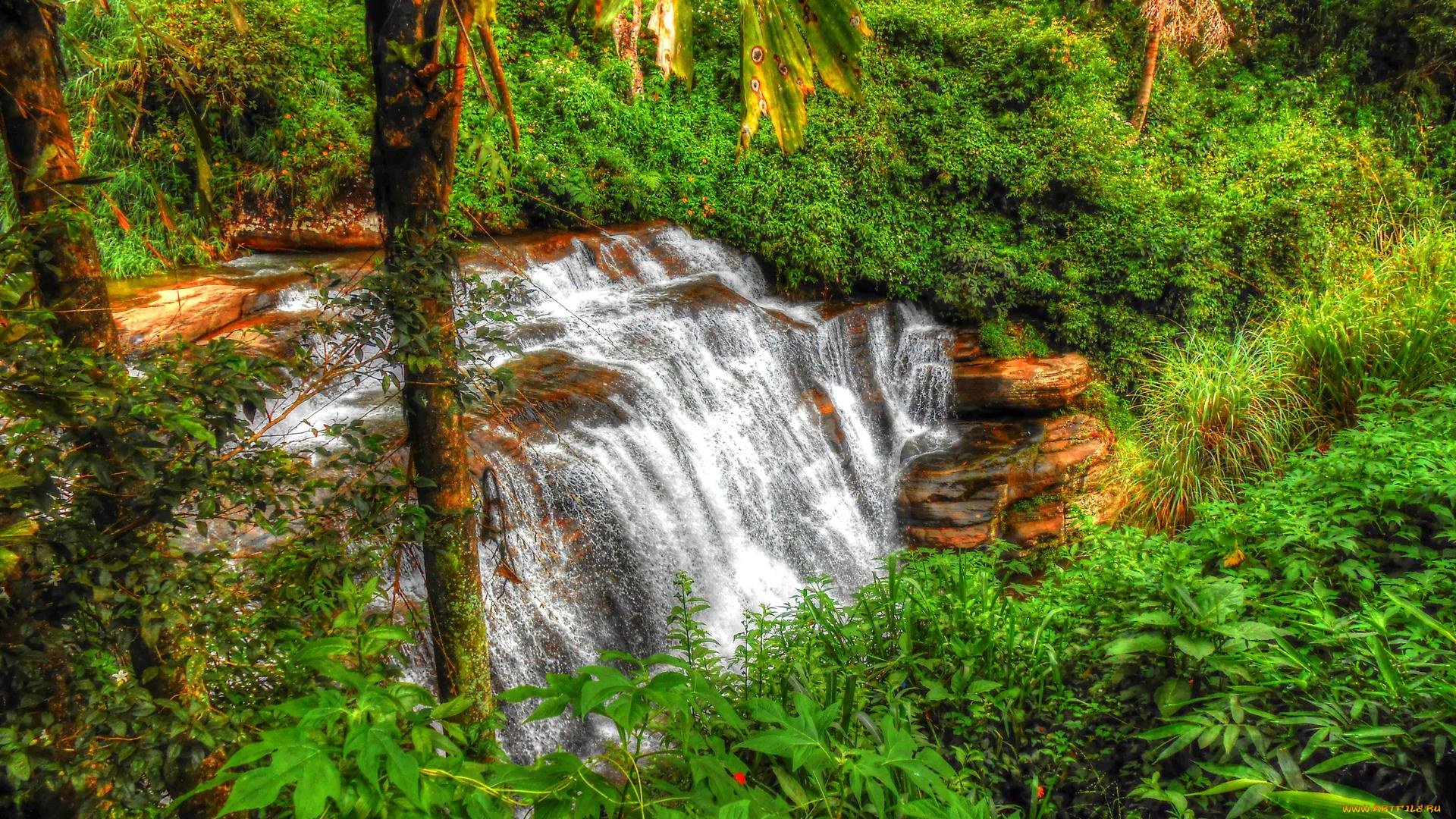природа, водопады, лес, скала, поток
