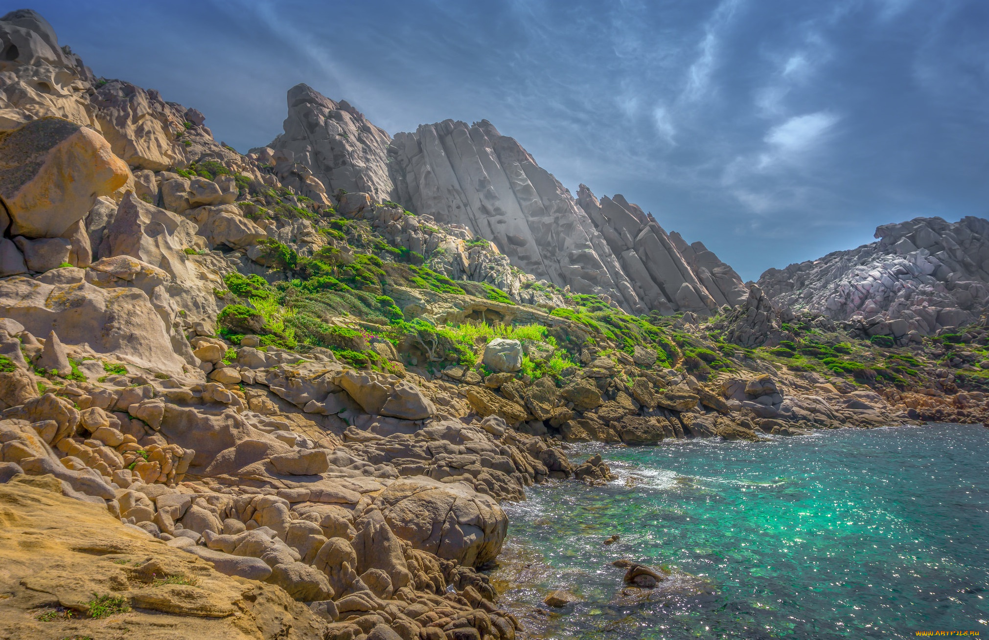 природа, реки, озера, река, лес