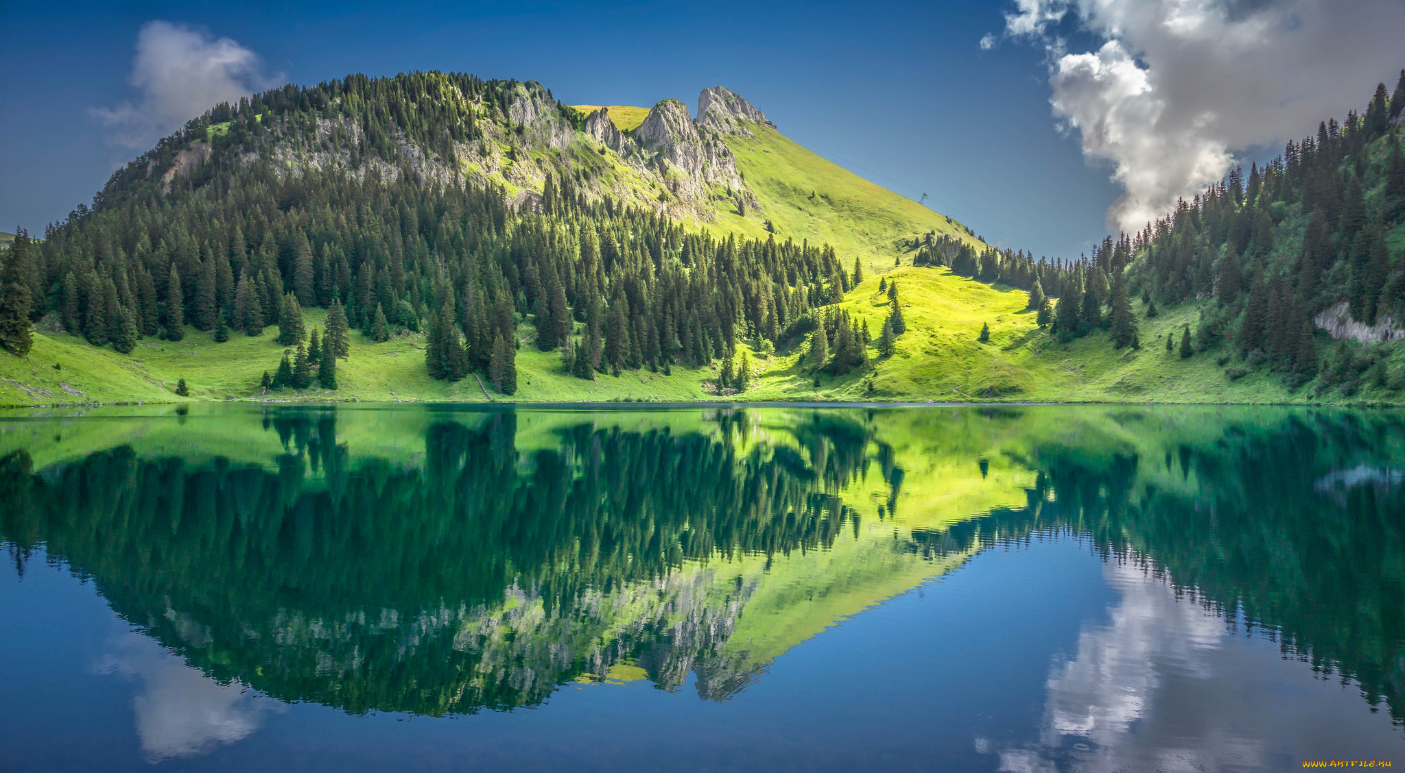 природа, реки, озера, река, лес