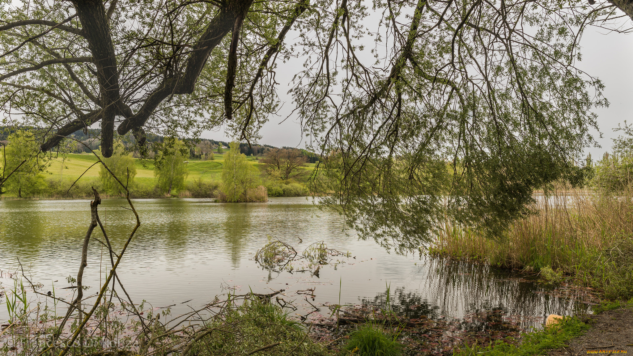 природа, реки, озера, простор