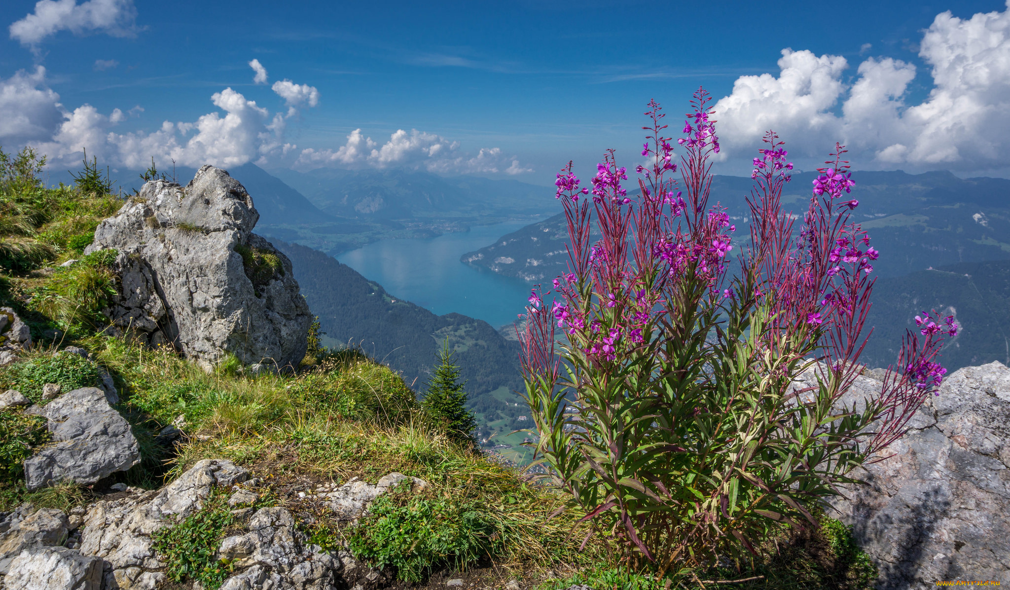 природа, пейзажи, простор