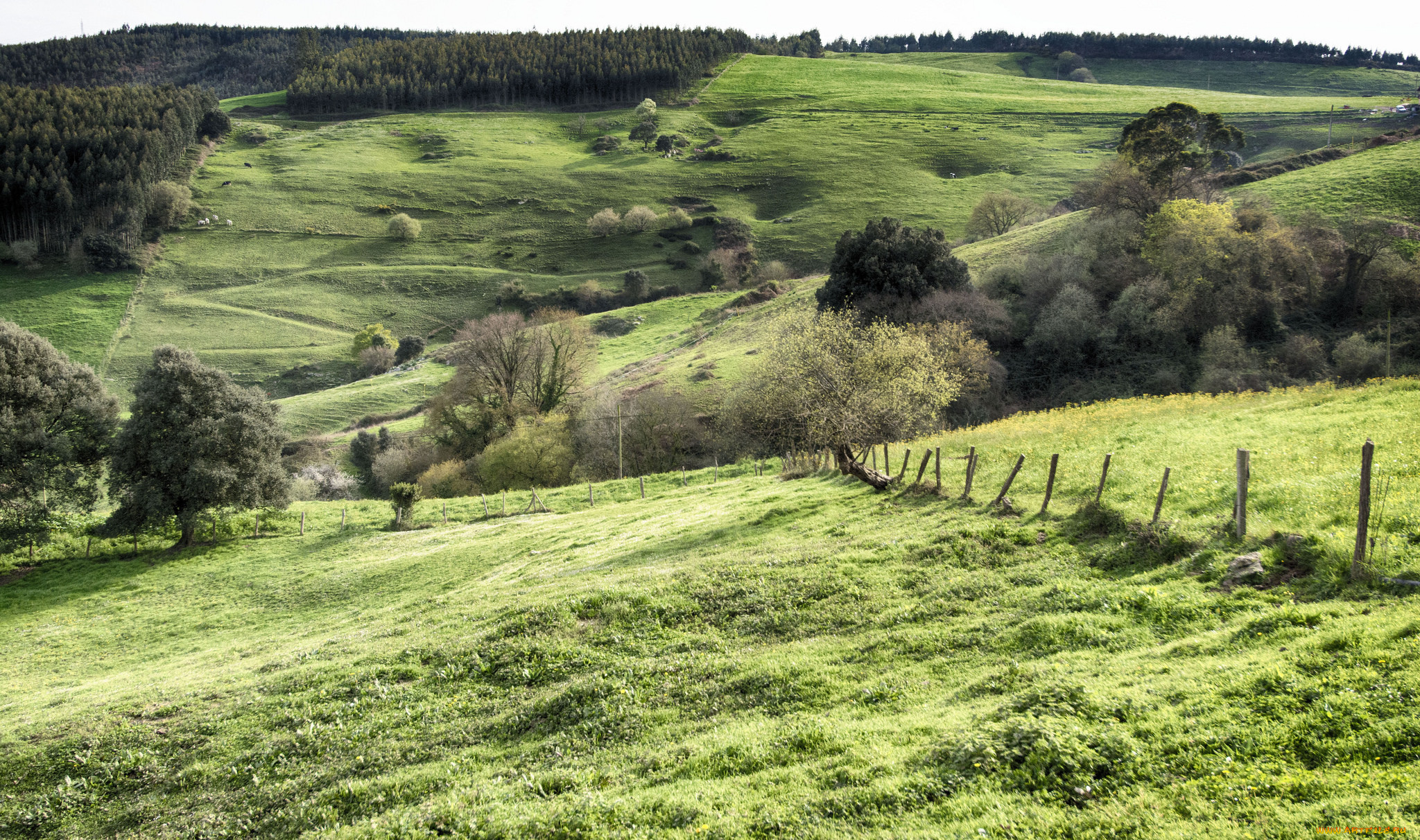 природа, пейзажи, простор