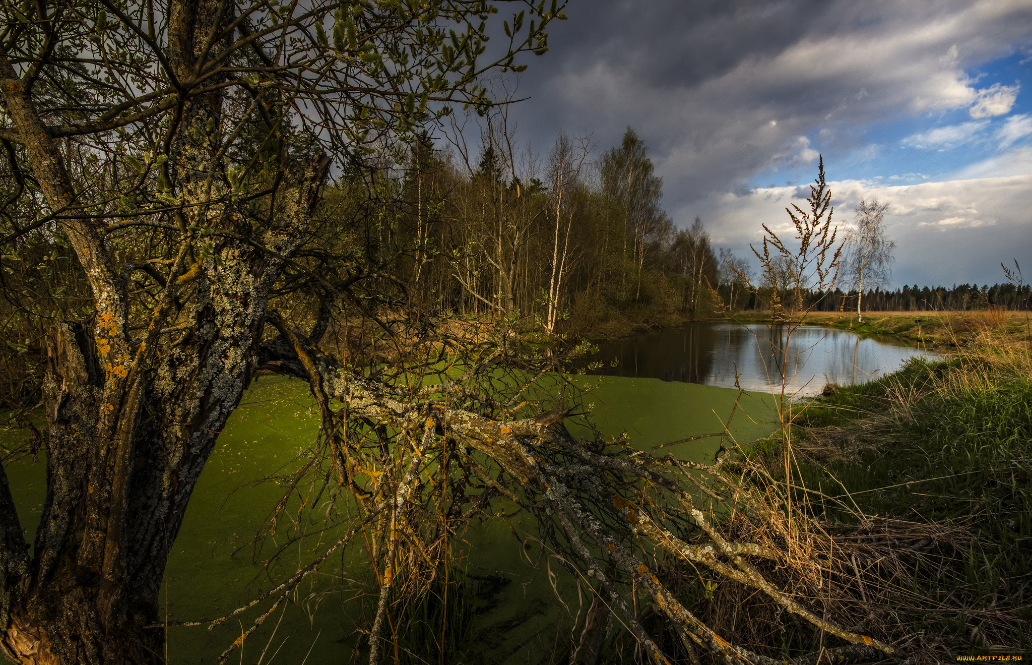 природа, пейзажи, простор