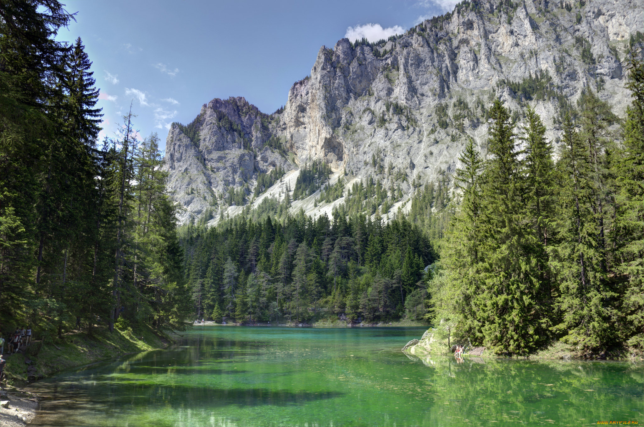 природа, реки, озера, река, лес