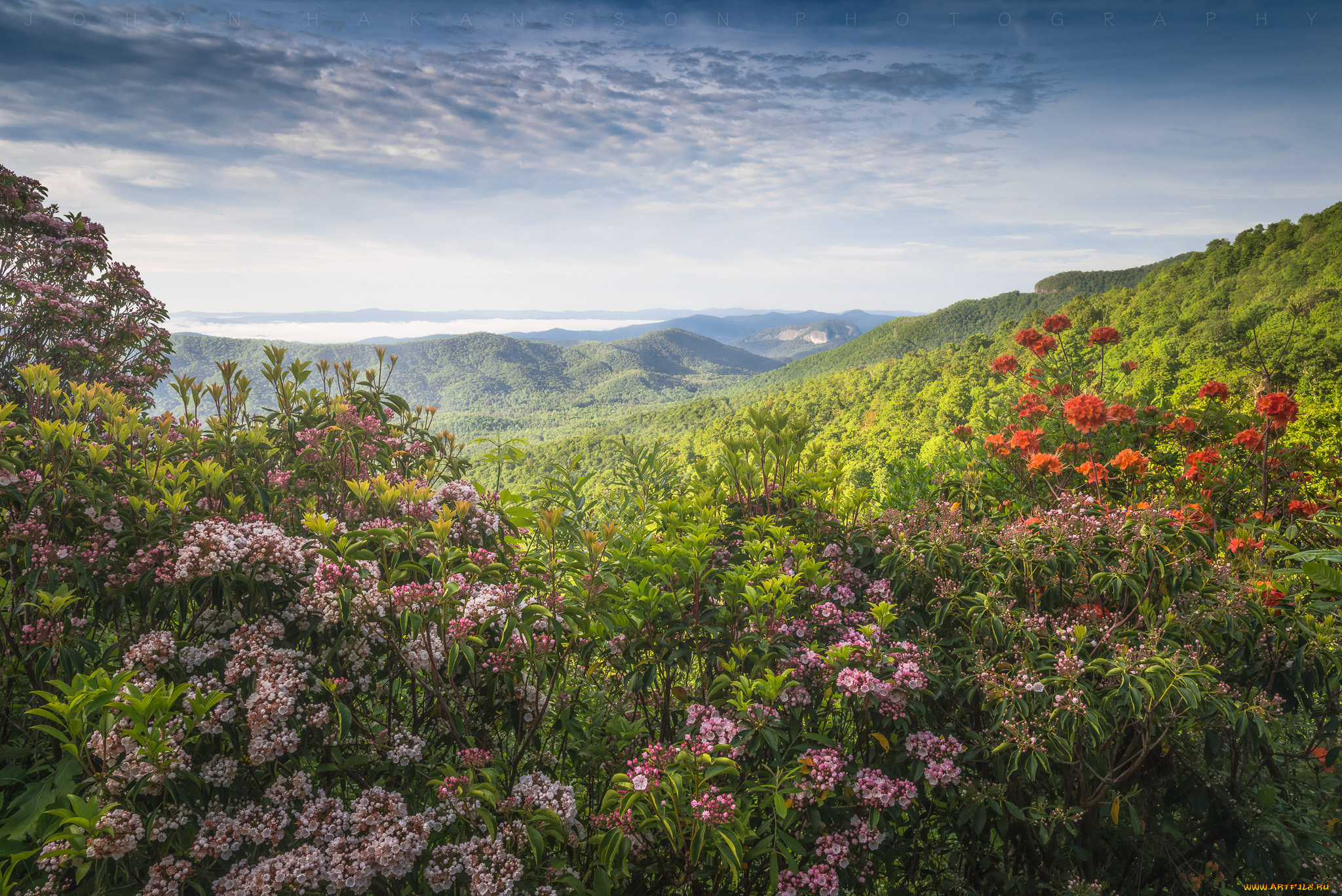 природа, пейзажи, простор