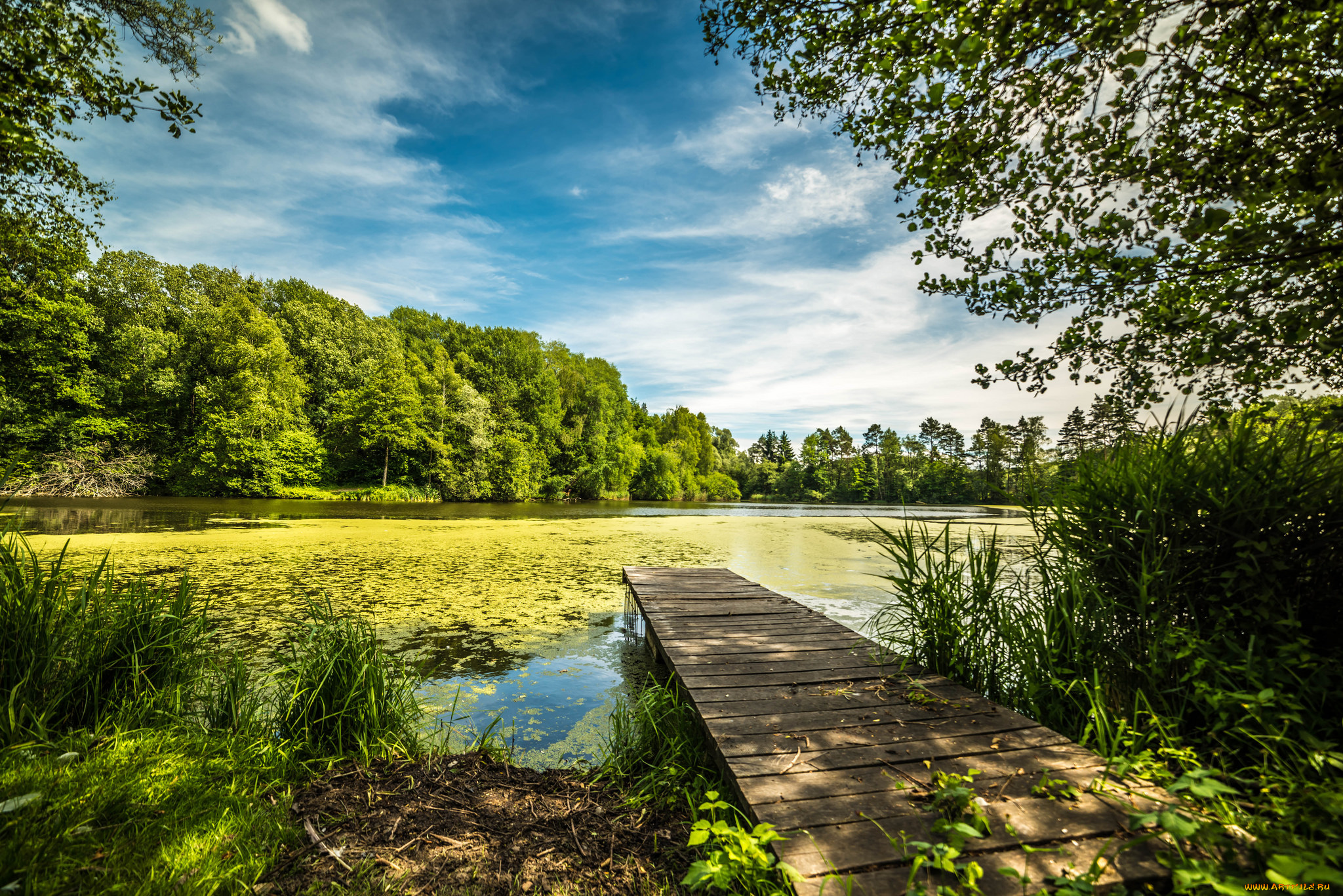 природа, реки, озера, простор