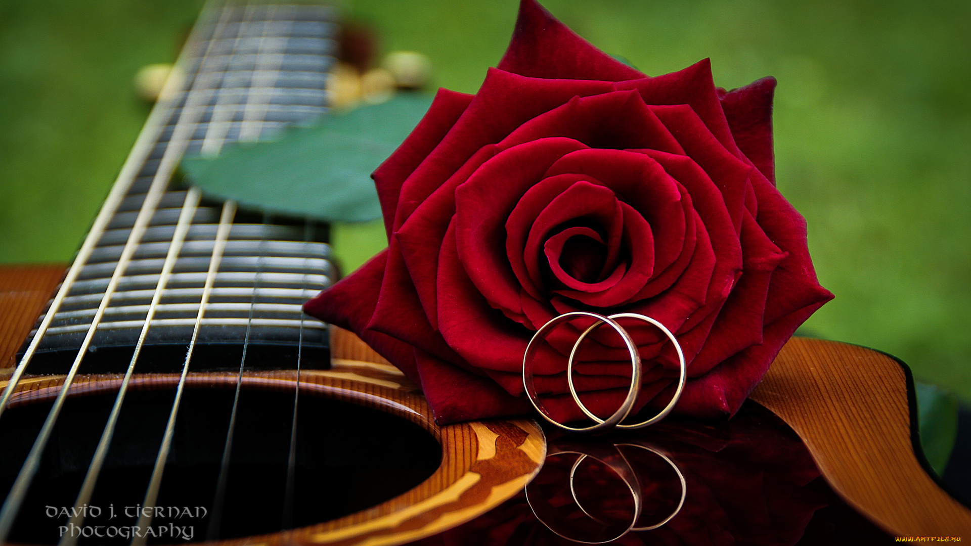 музыка, -музыкальные, инструменты, цветок, гитара