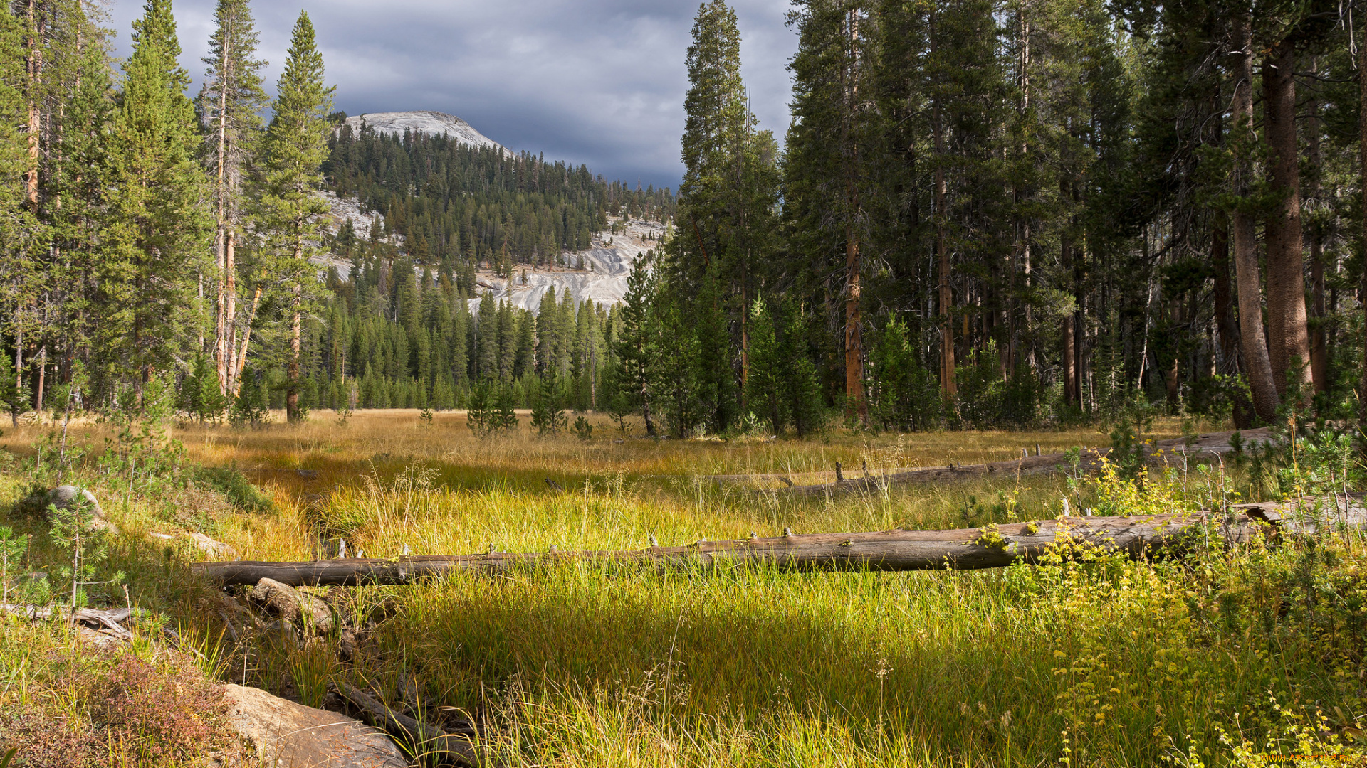 природа, пейзажи, простор