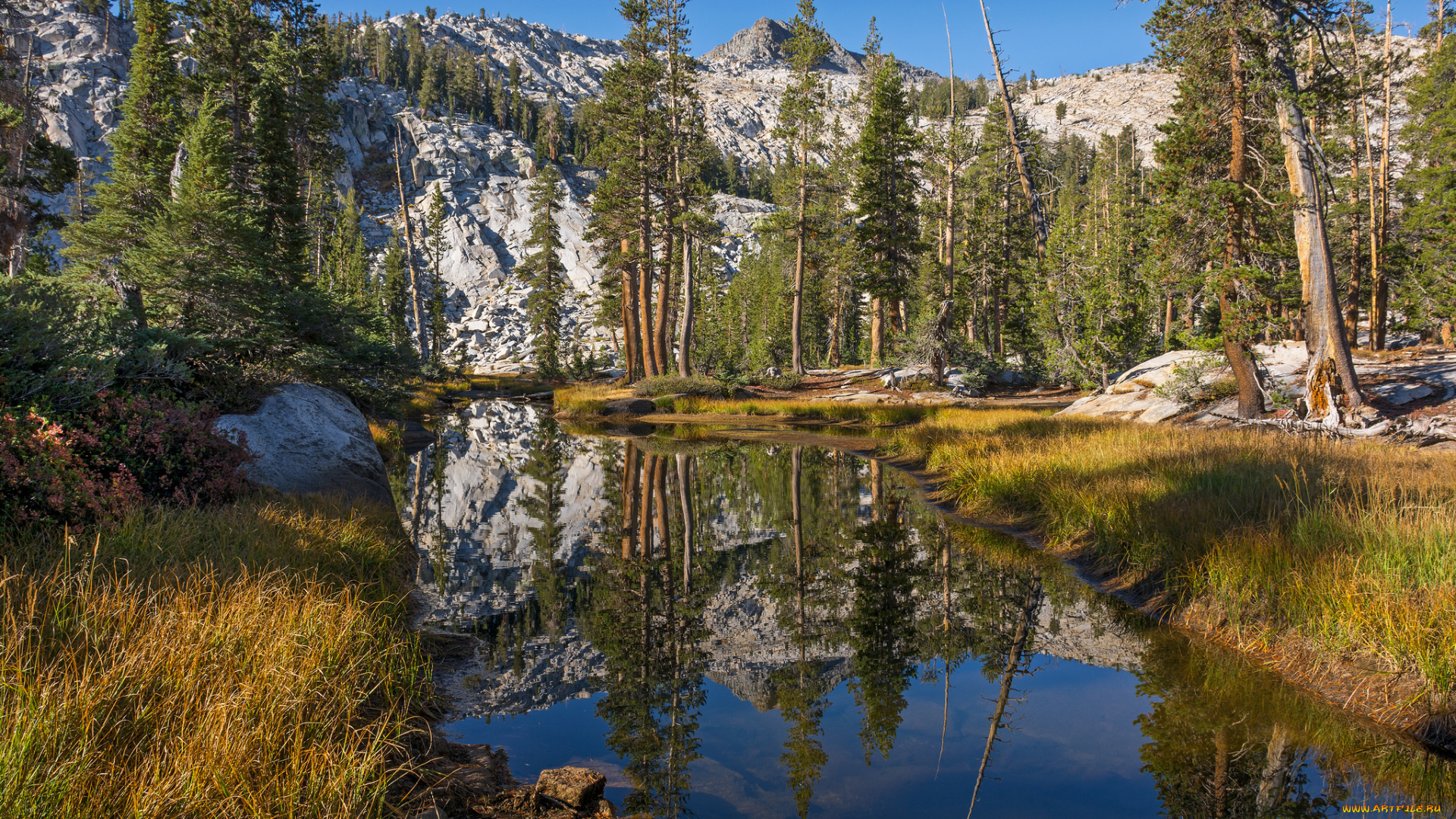 природа, реки, озера, простор