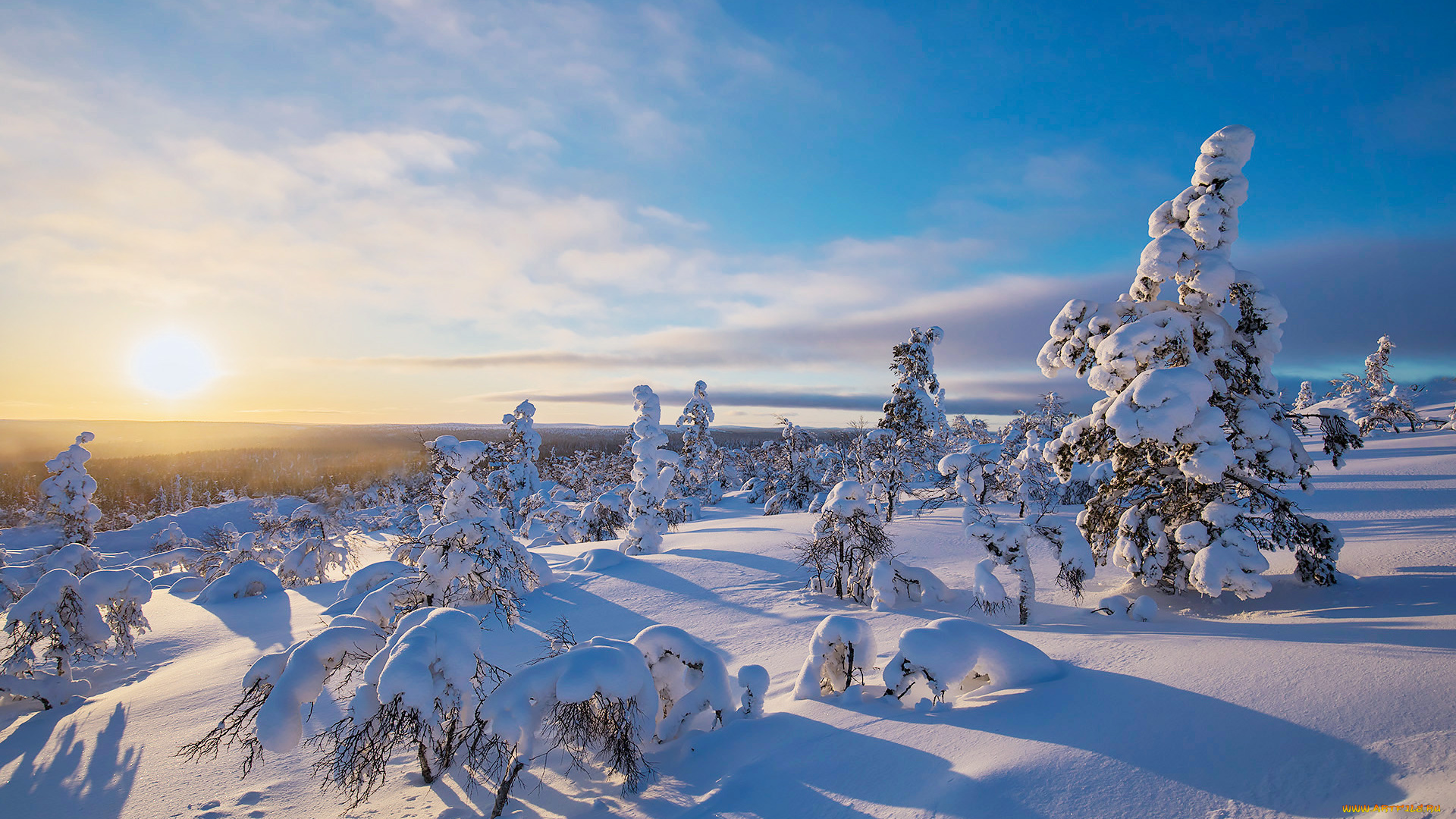 природа, зима, простор