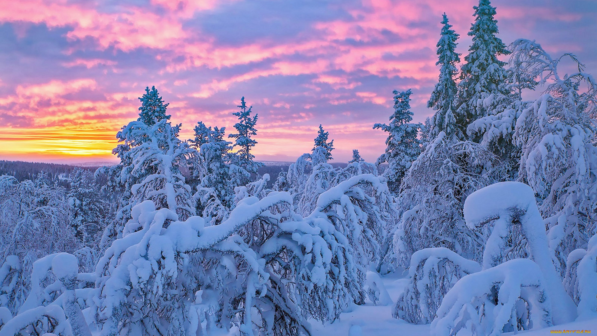 природа, зима, простор