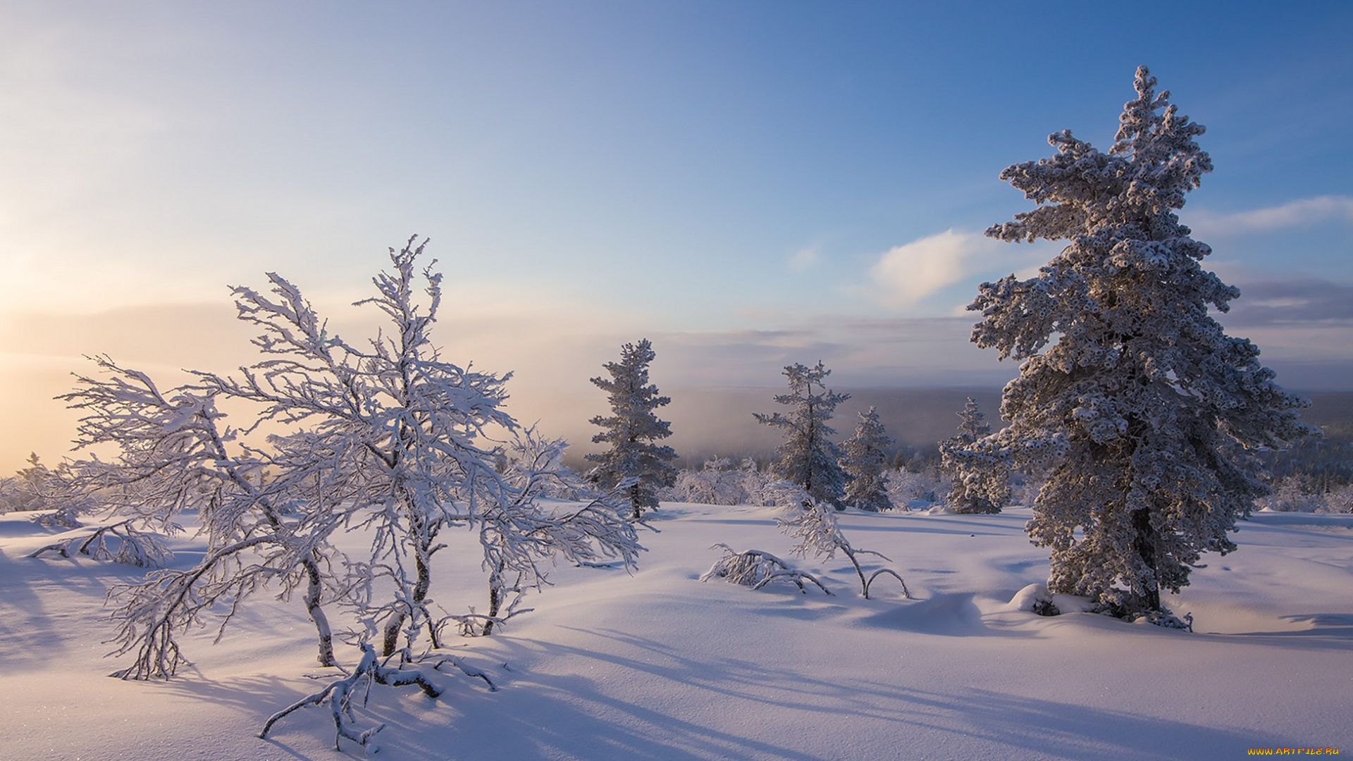 природа, зима, простор