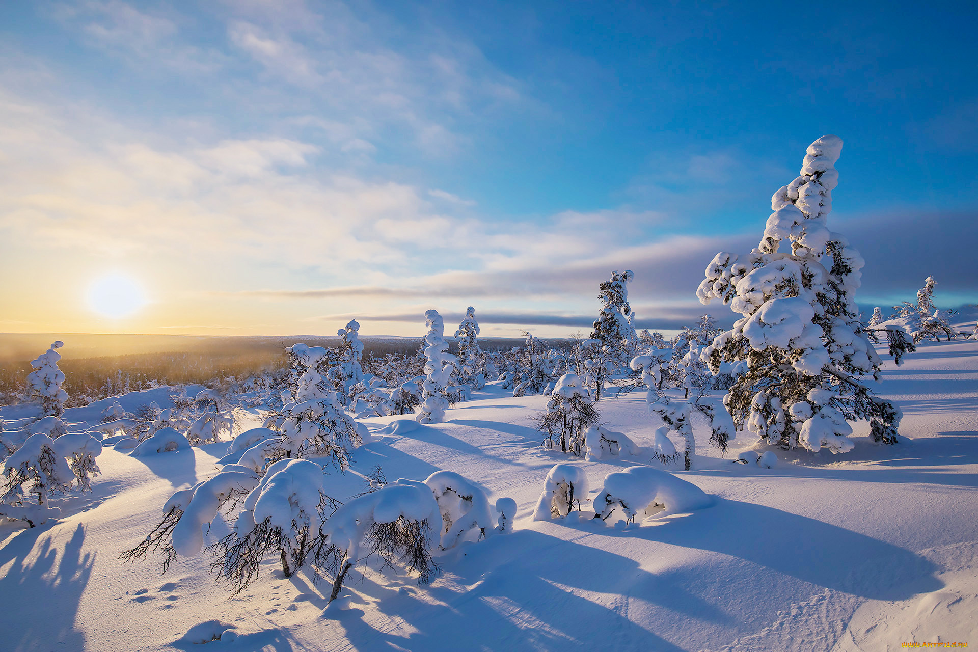 природа, зима, простор