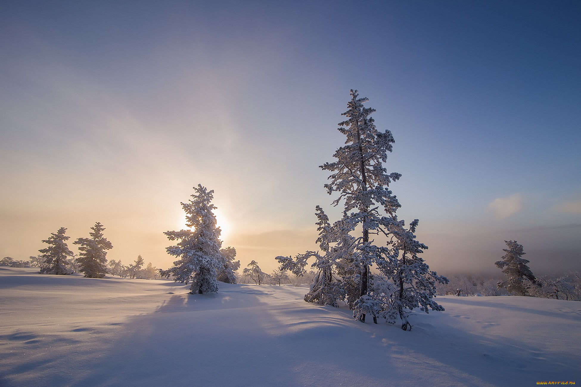 природа, зима, простор