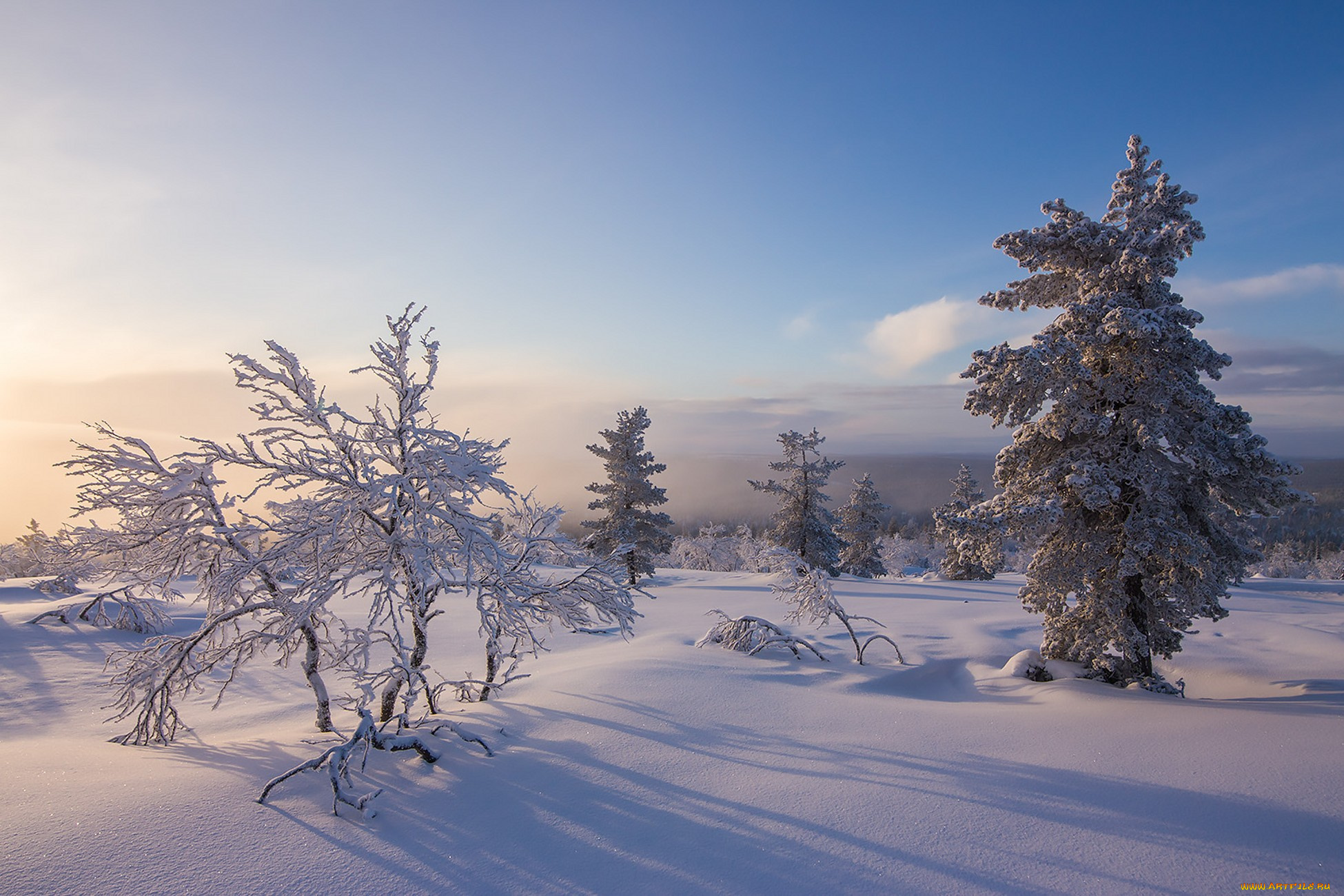 природа, зима, простор