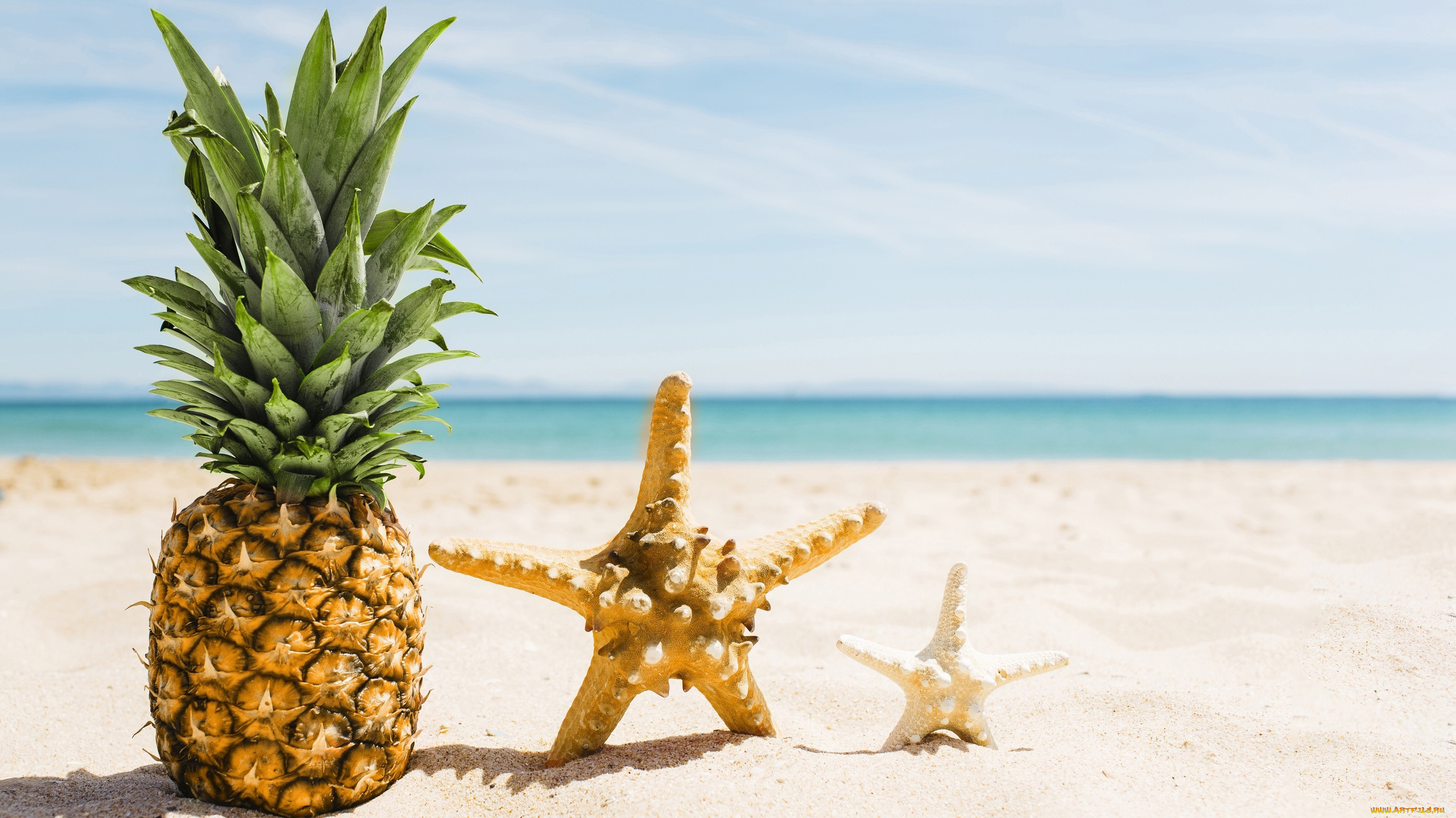 еда, ананас, пляж, песок, звезда, морская