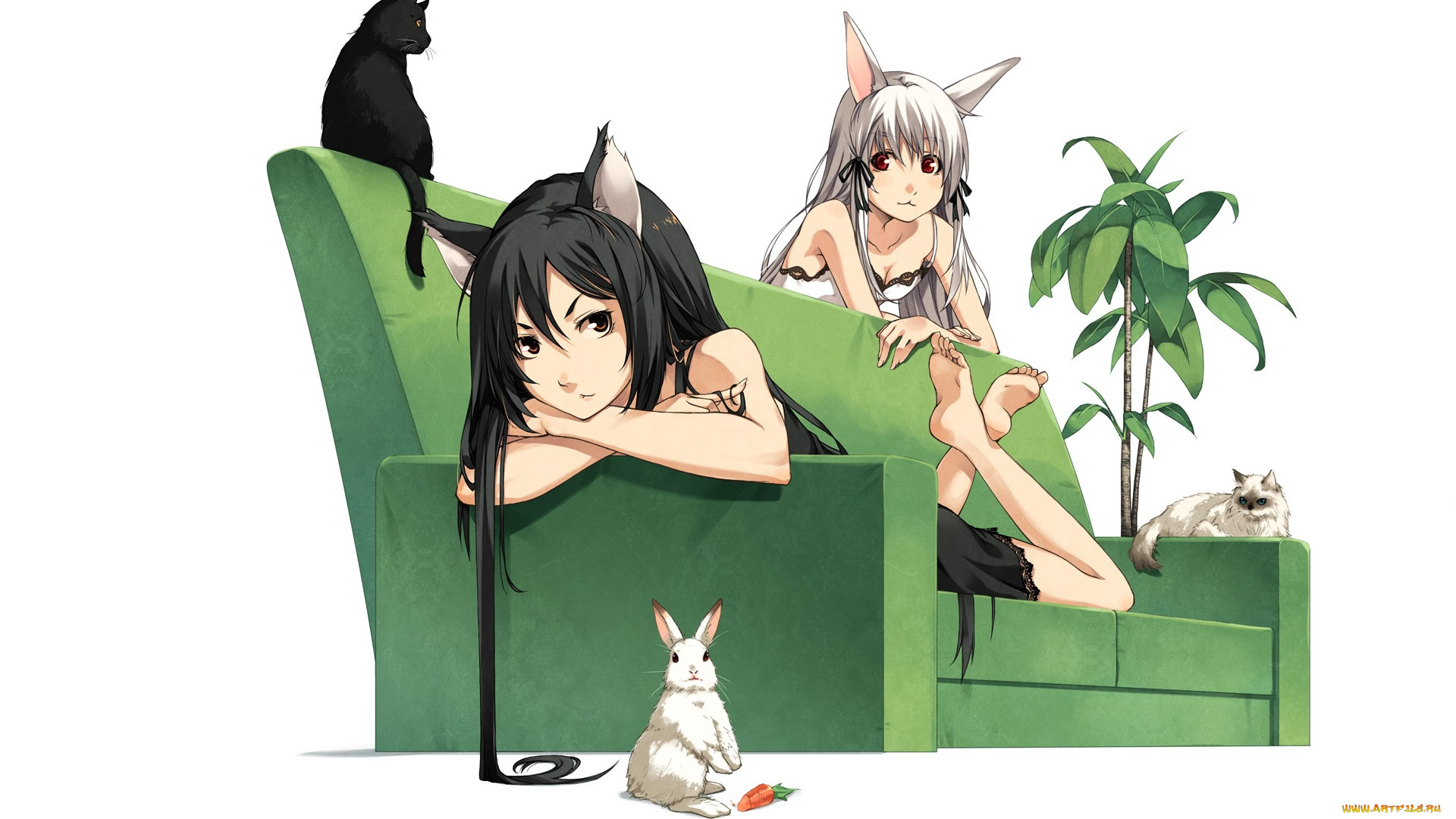 аниме, животные, , существа, neko, girl