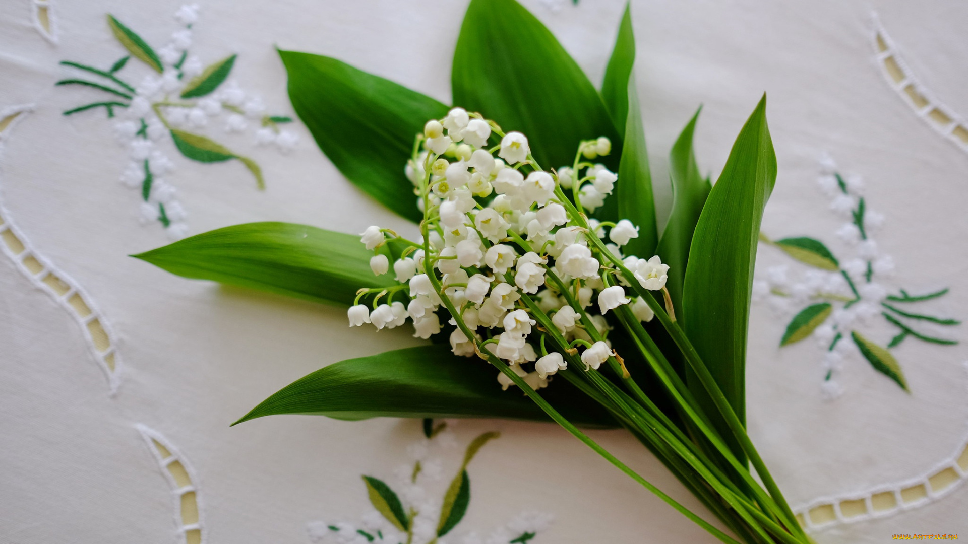 цветы, ландыши